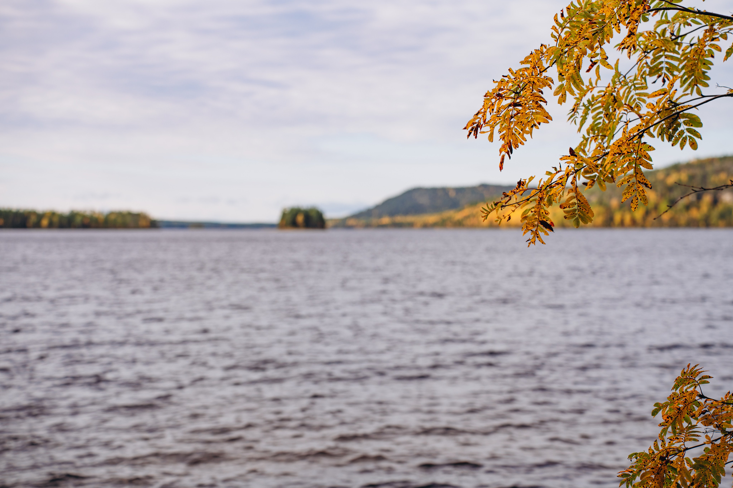 СЕВЕР. Event фотограф Степанова Александра