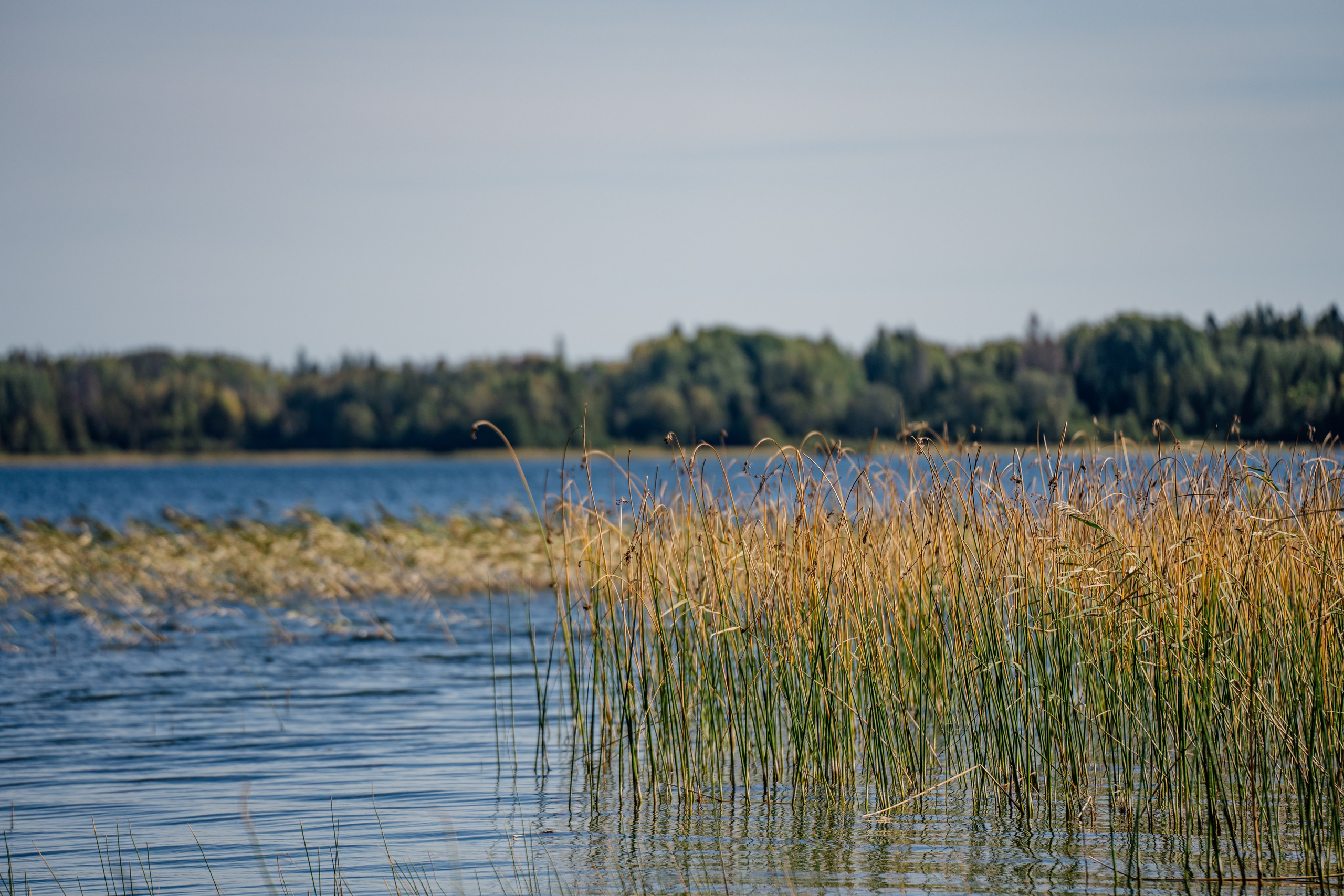 СЕВЕР. Event фотограф Степанова Александра