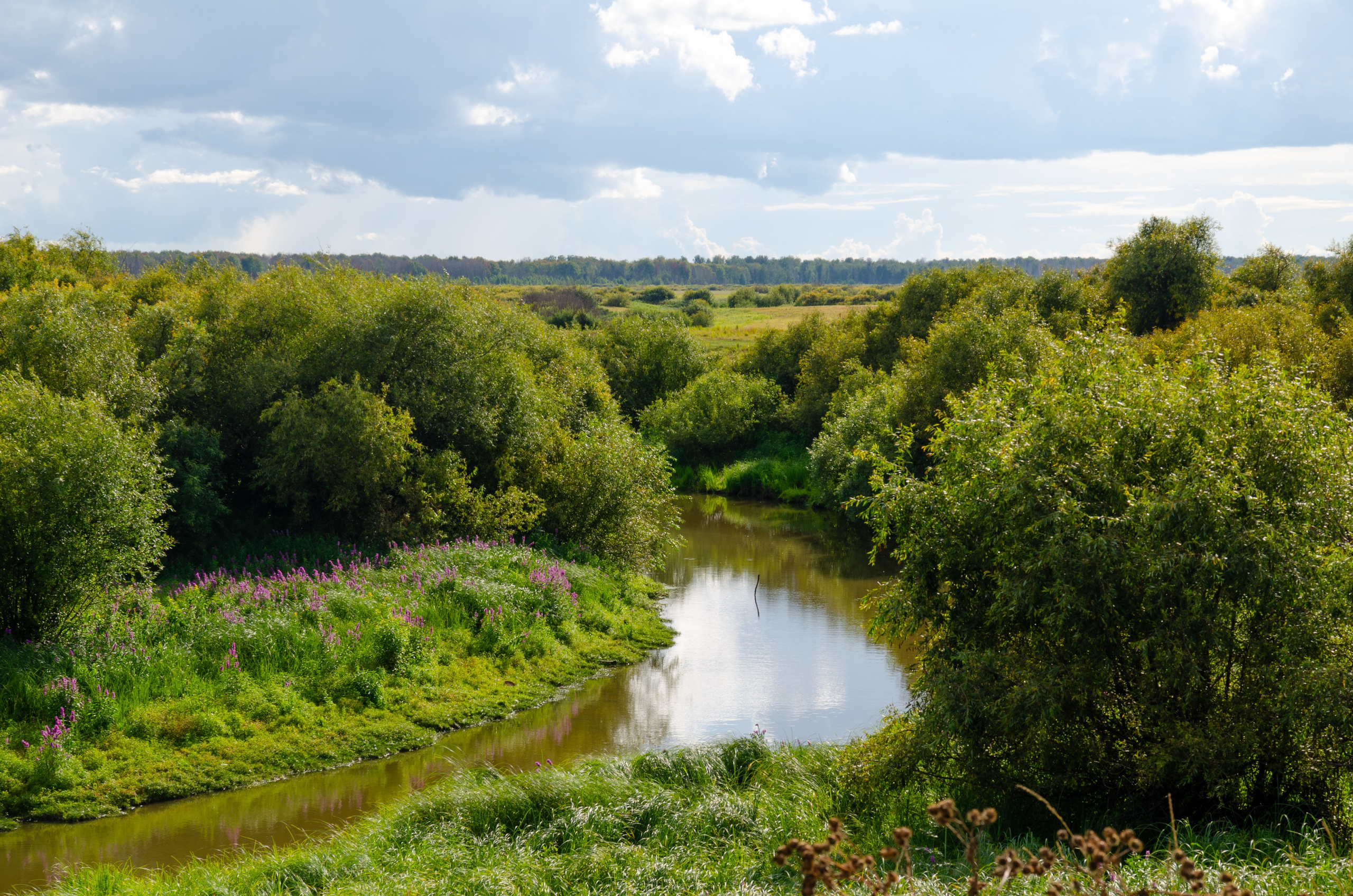 Пейзаж. Фото — видео Тюмень
