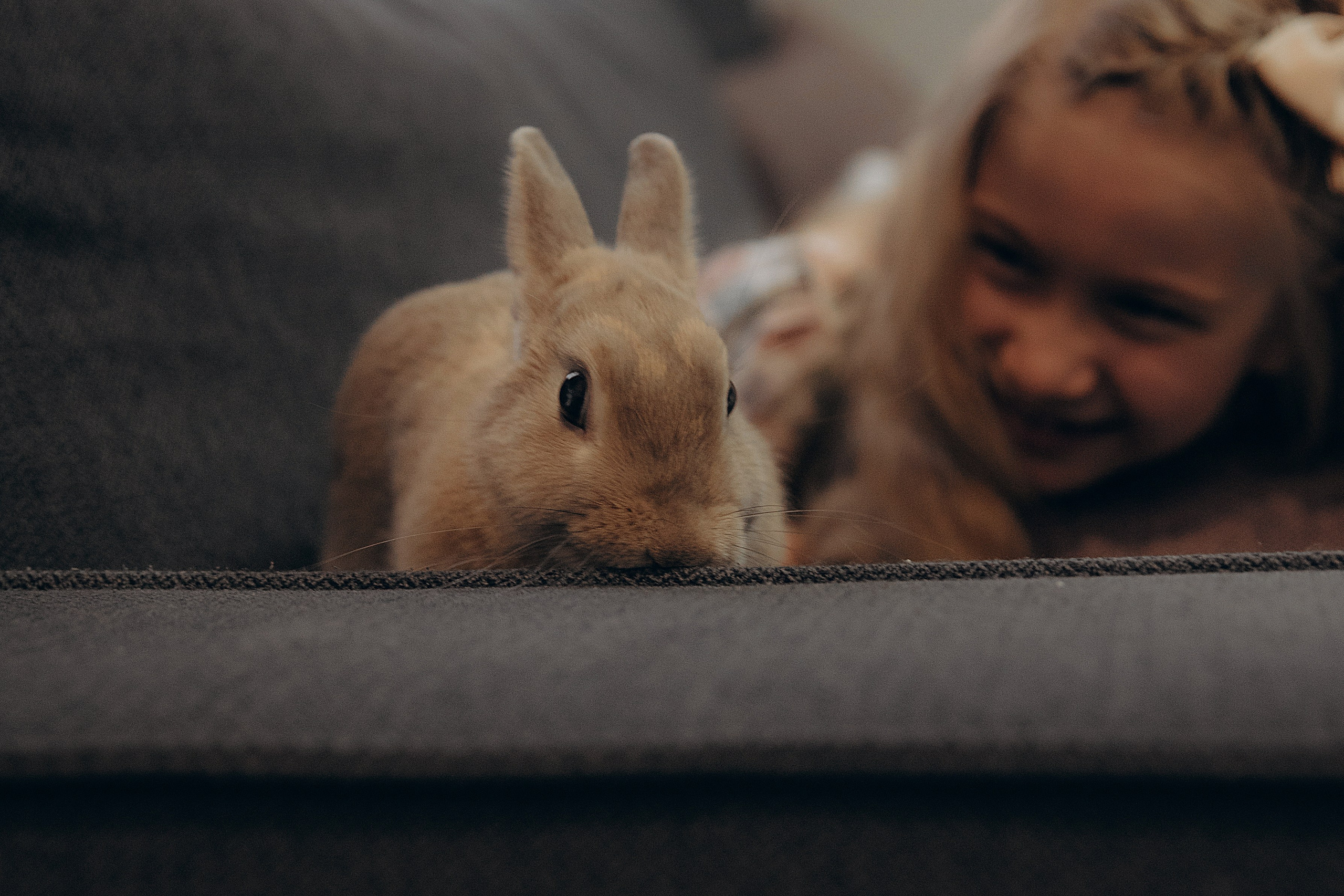 «Ушастые истории». Фотограф Алина Ионычева в Новосибирске