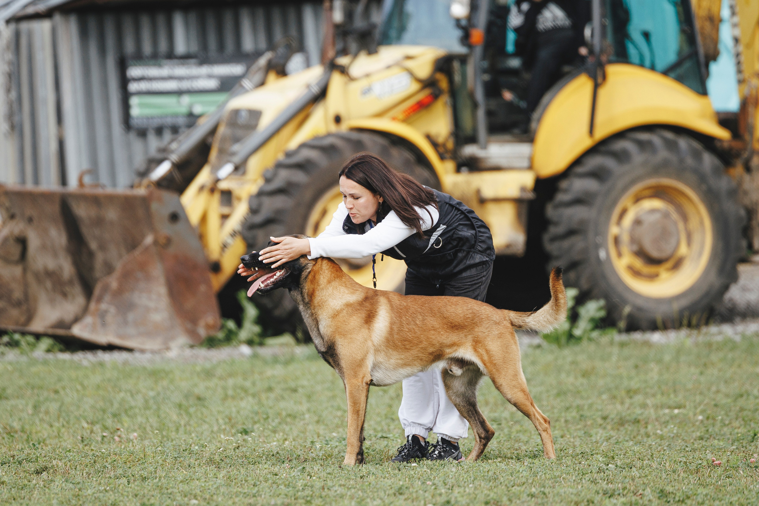 08.08.25-10.08.25 ЧР по мондьорингу г. Вологда. Фотограф-анималист Анна Маринич