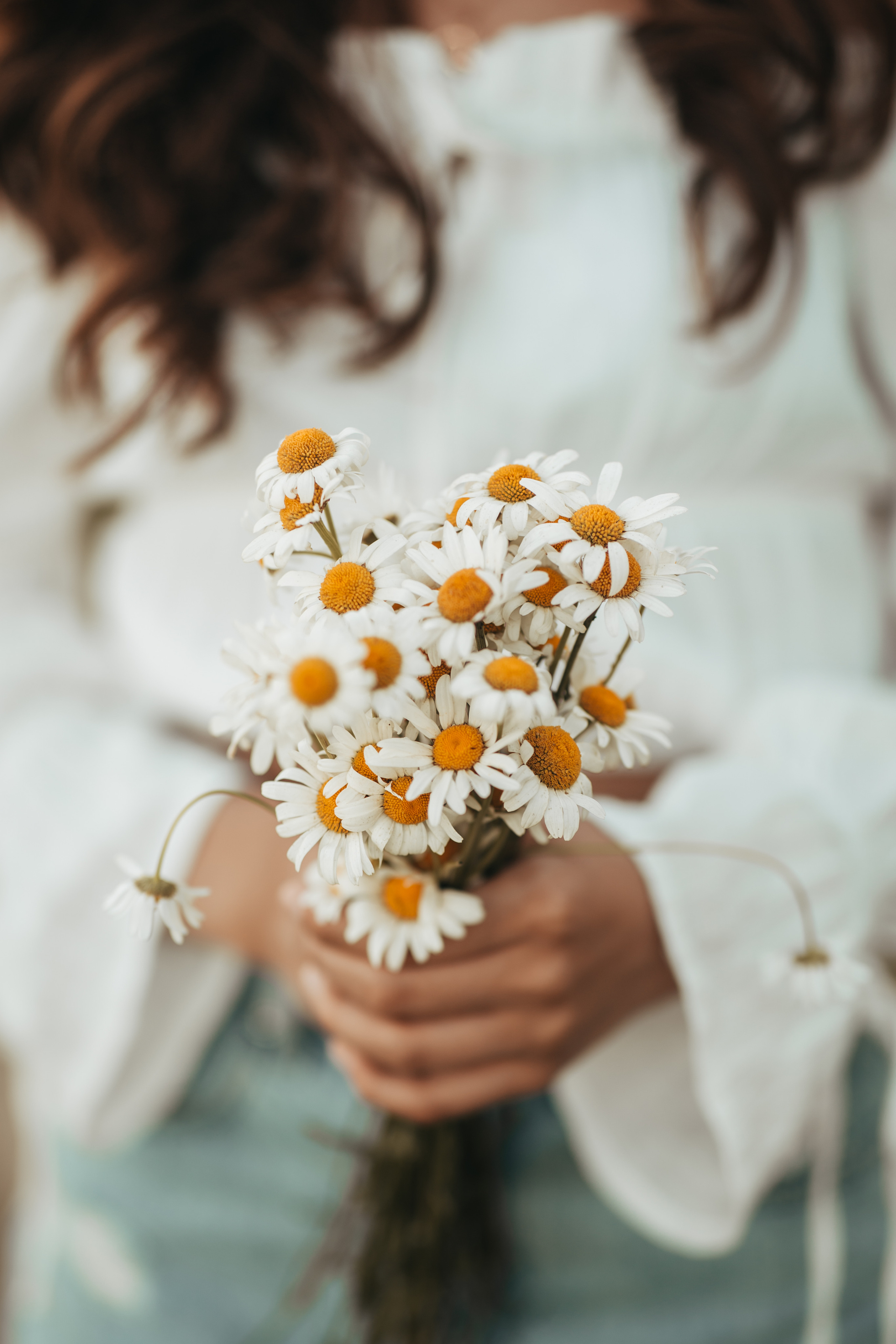 Ромашки. Семейный и детский фотограф и видеограф в Москве, Дрокина Наталья