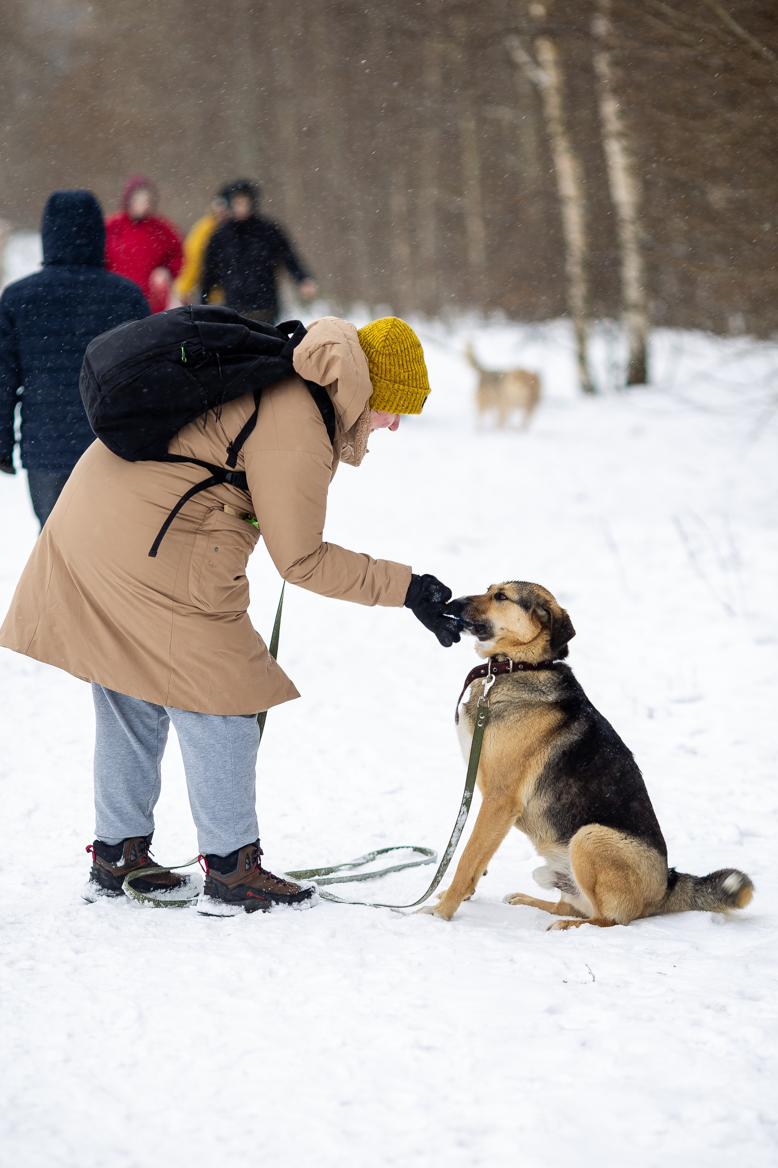 Petshop Забота. Фотограф в Санкт-Петербурге Чумаков Семен