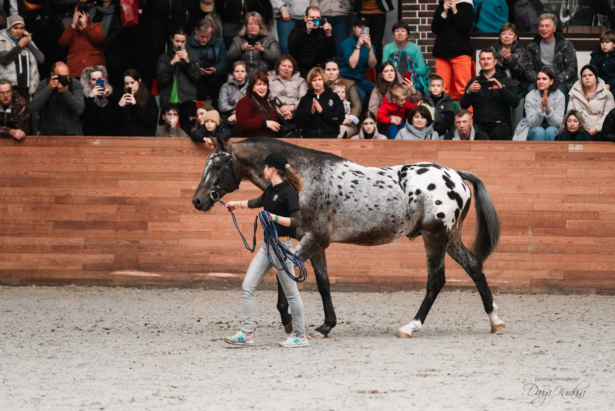 8-я международная выставка Конная Россия. Конный фотограф Куракина Дарья • Фотосессии с лошадьми
