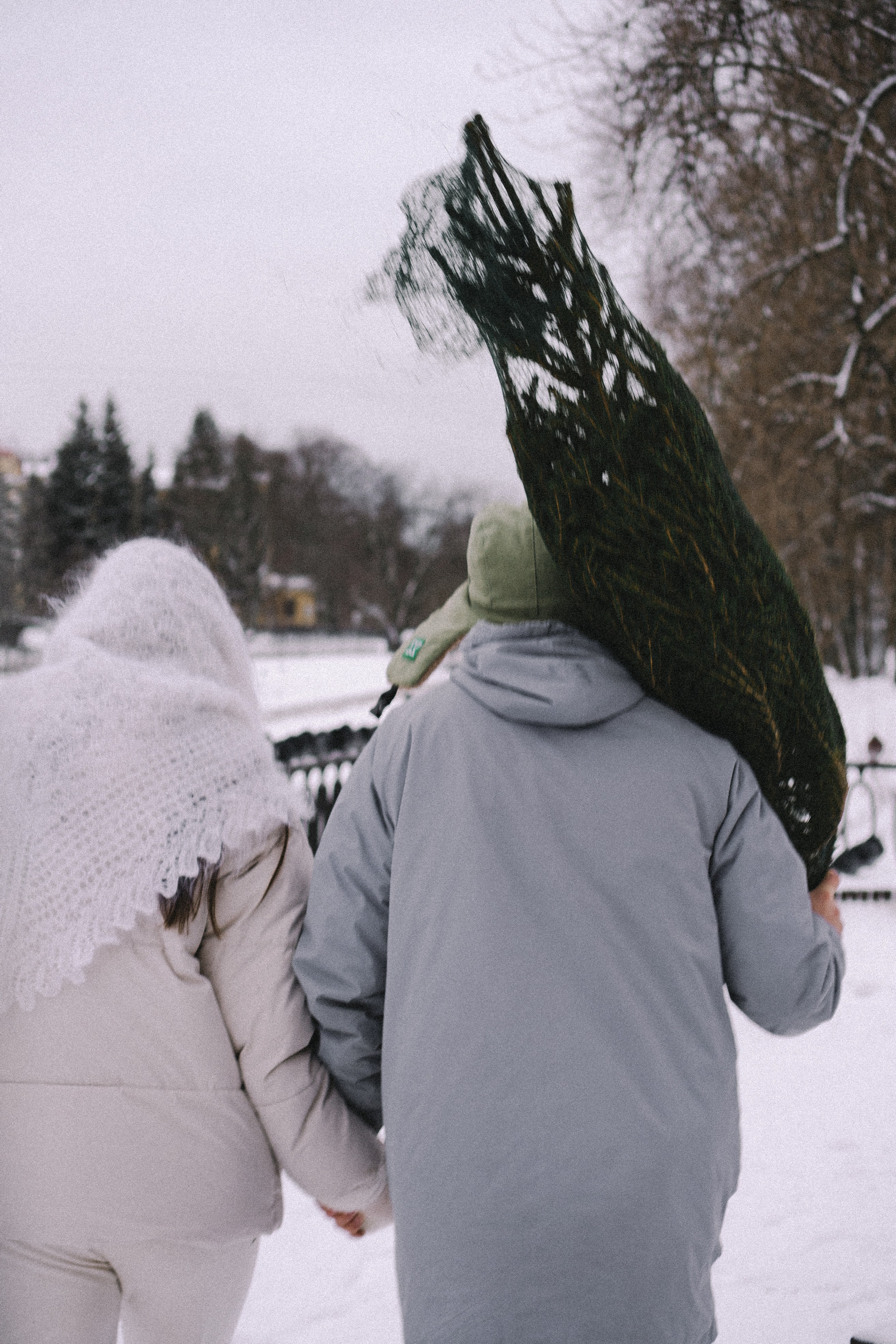 Зимняя история. Профессиональный фотограф, Санкт-Петербург — Виктория Богомолова