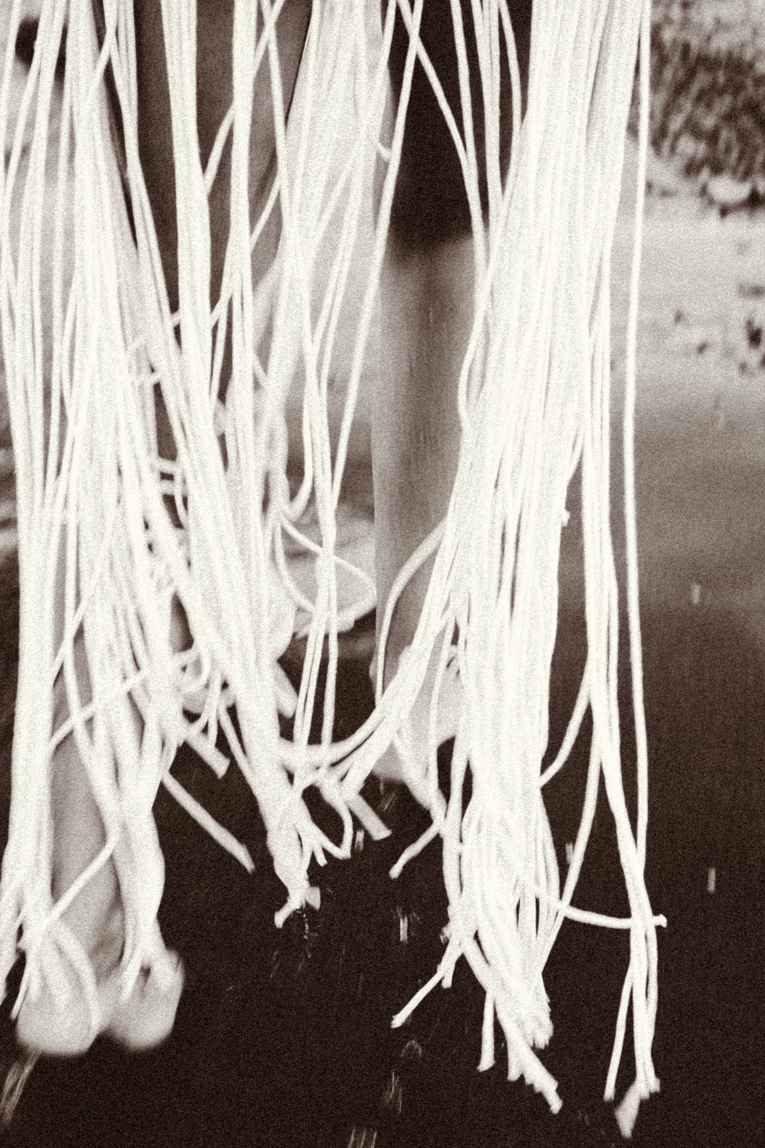 Рассвет. Профессиональный фотограф, Санкт-Петербург — Виктория Богомолова