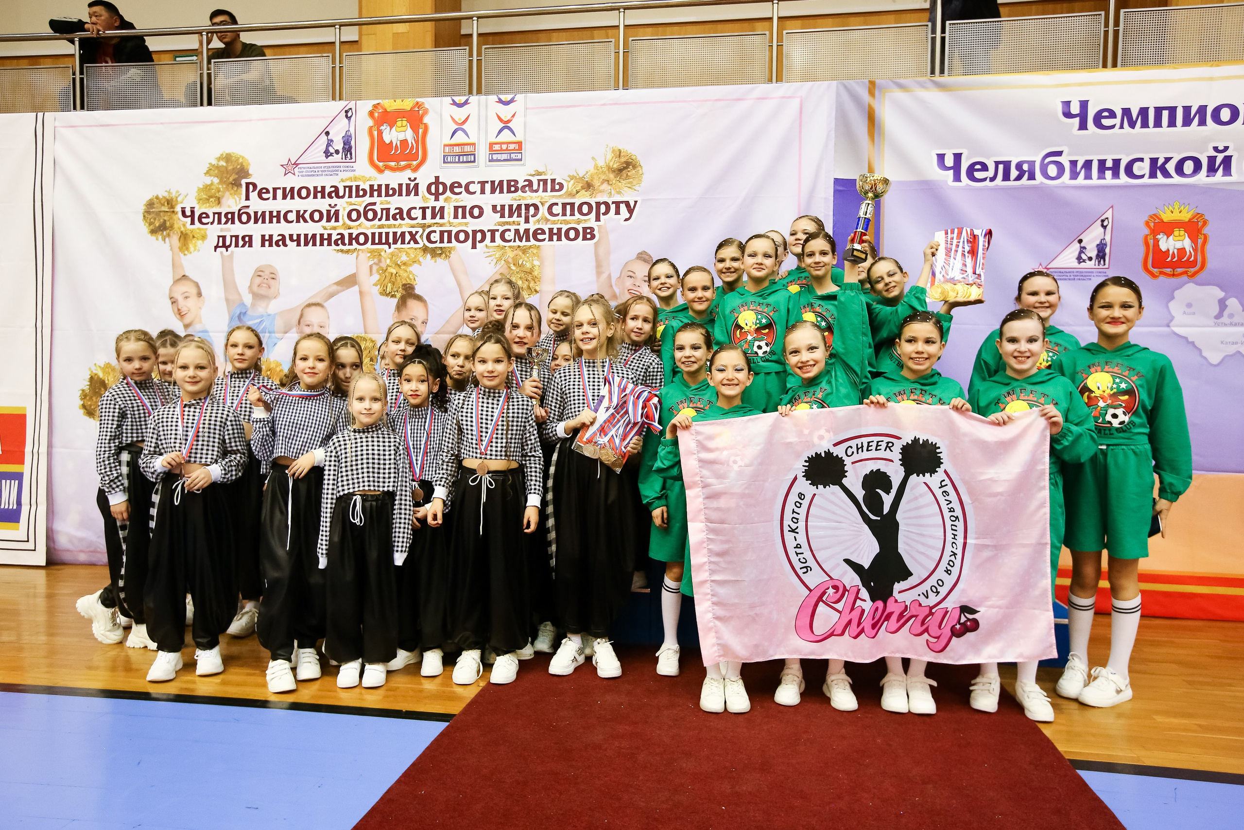 ЧЕМПИОНАТ И ПЕРВЕНСТВО ЧЕЛЯБИНСКОЙ ОБЛАСТИ ПО ЧИР СПОРТУ — 2023 г
