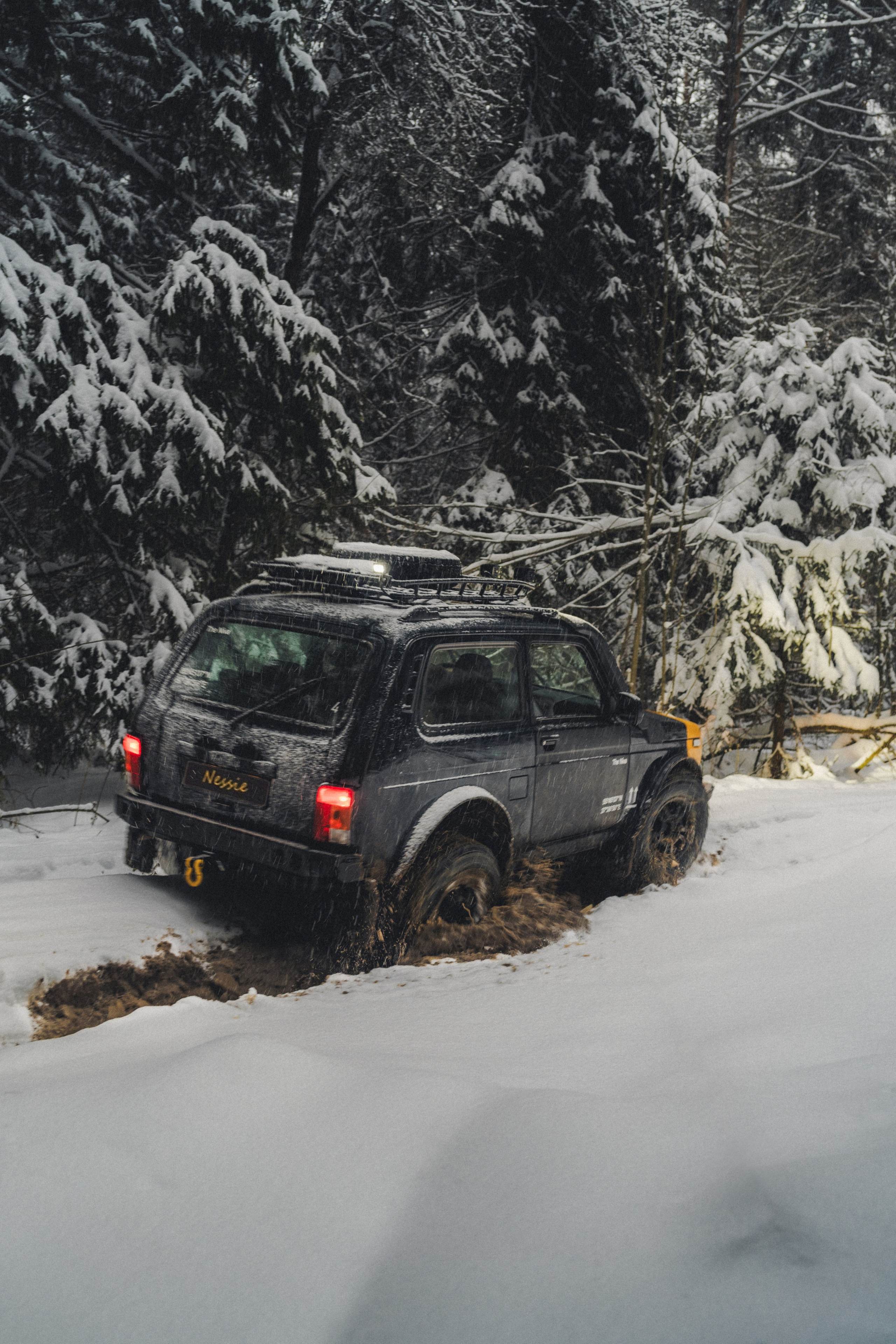 Niva Bronto (Nessie) x FAUNO. Фотограф Илья К. в Москве