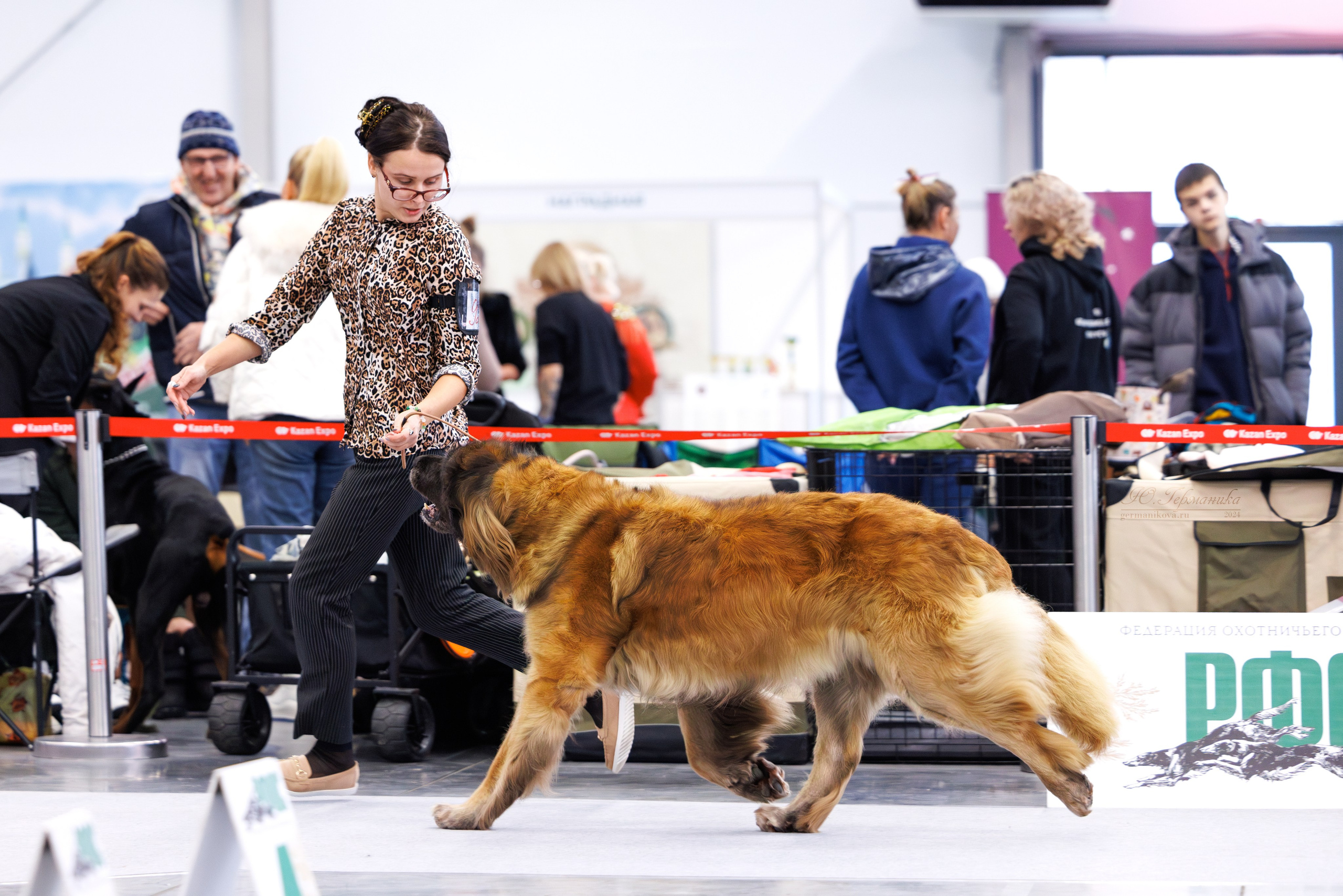 Казань Зилант 30-01.12 2024. Фотограф-анималист Юлия Германика