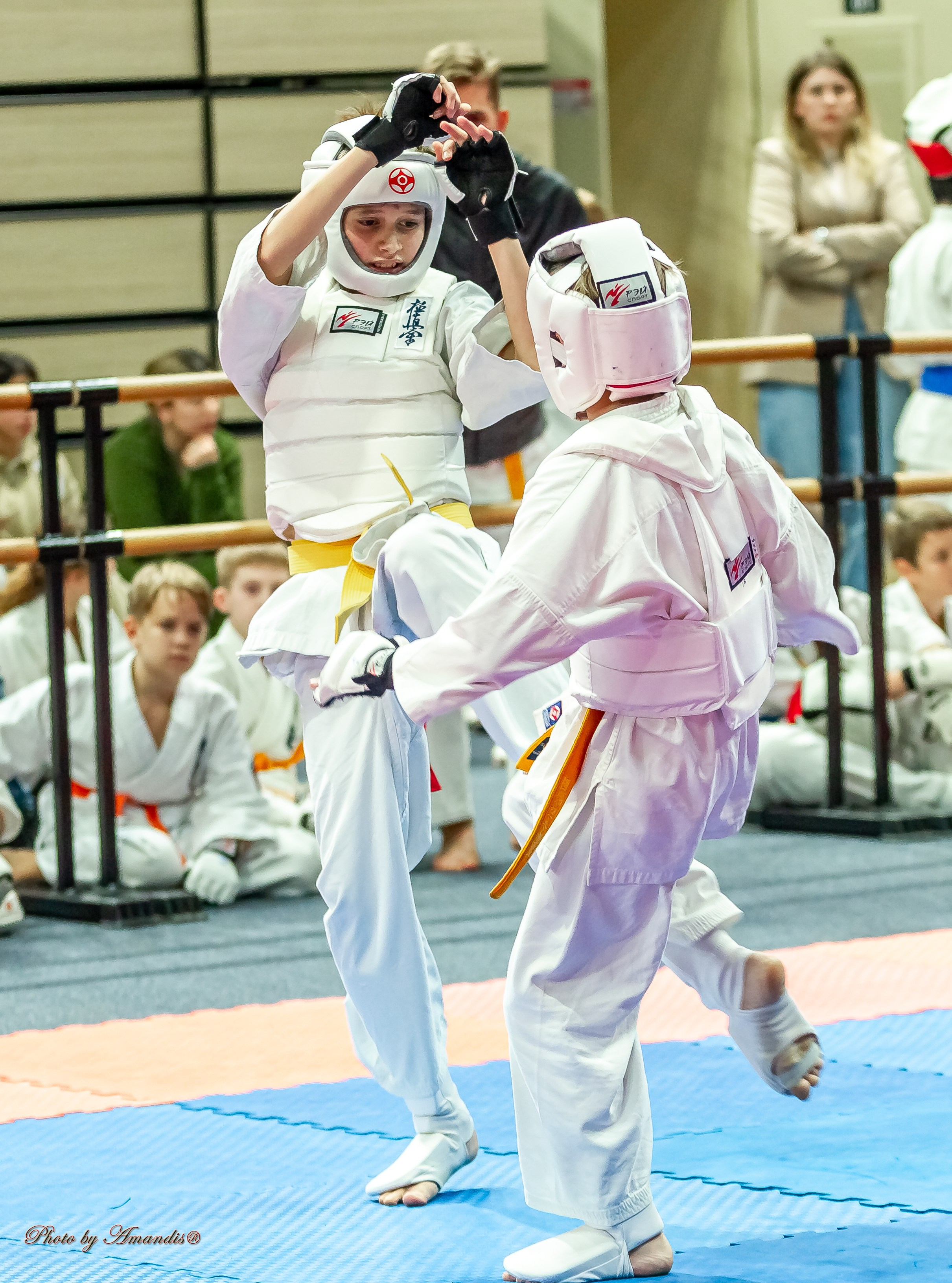 Первенство Московской области по Киокушин в СК «Жаворонки». Репортажная съемка в Москве и области. Анималистика