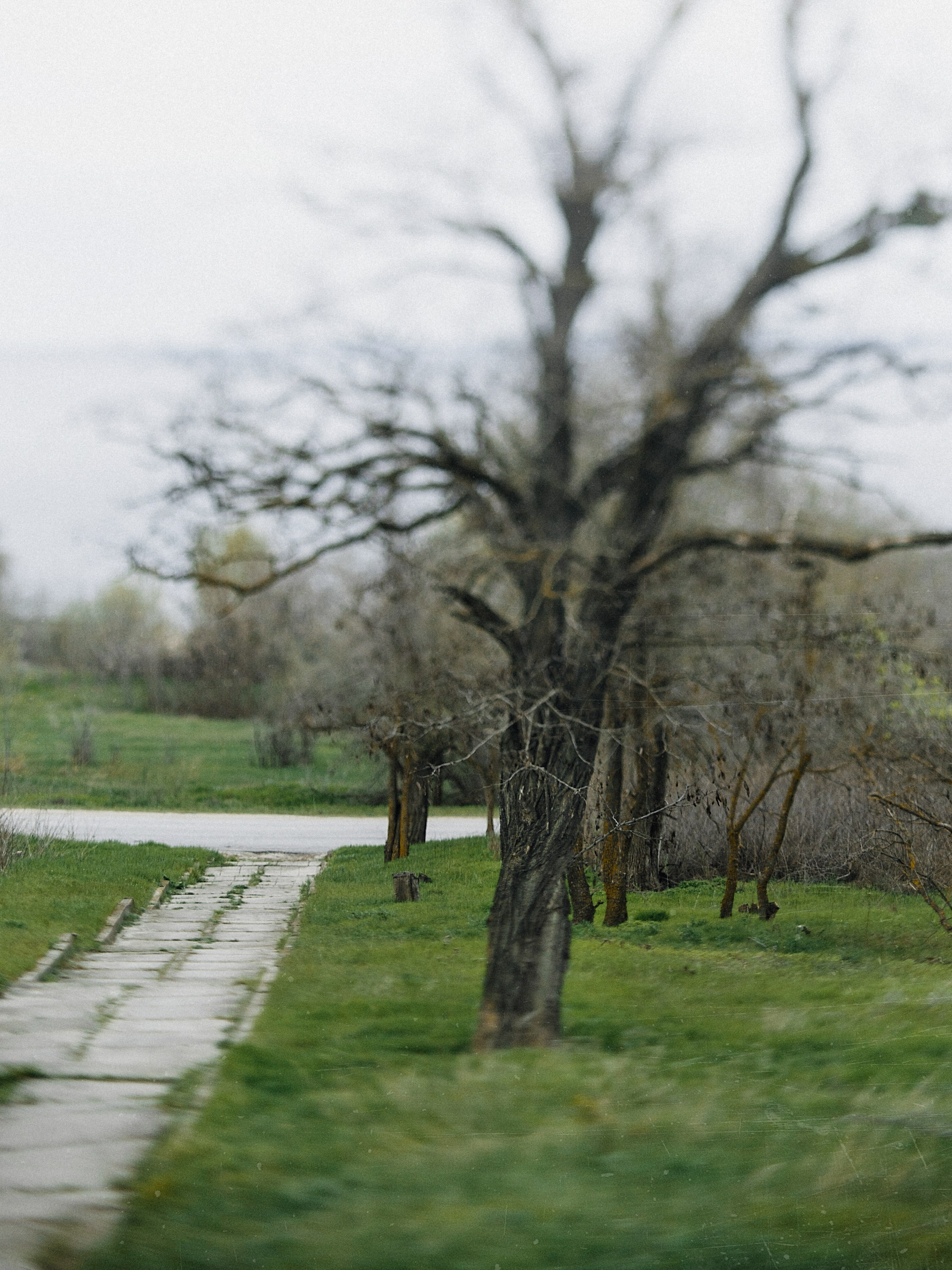 Cold spring. Андрей Сливенко. Свадебный фотограф в Волгодонске и Ростове-на-Дону