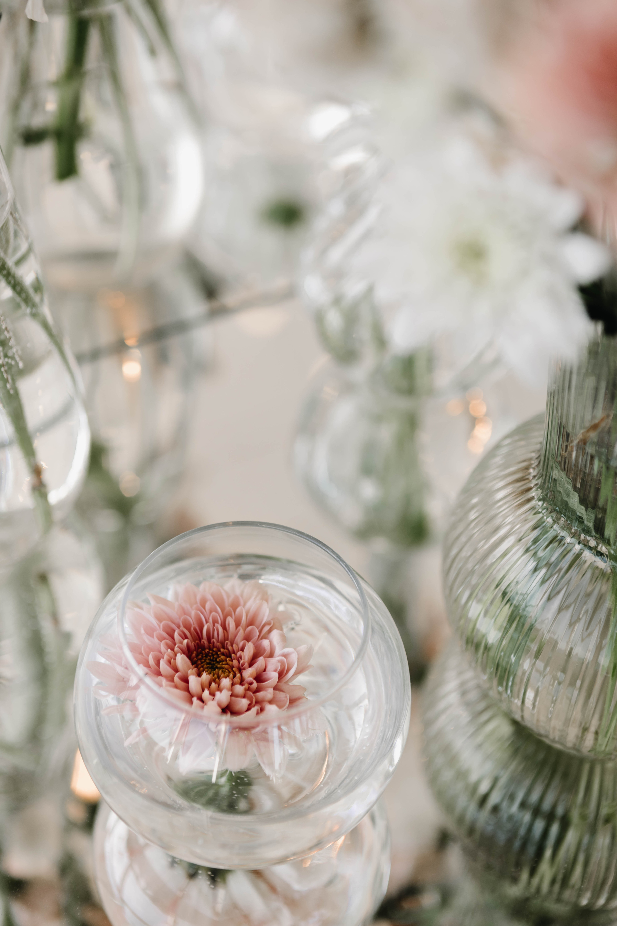 Михаил и Кристина. Свадебный фотограф Алина Поддубная