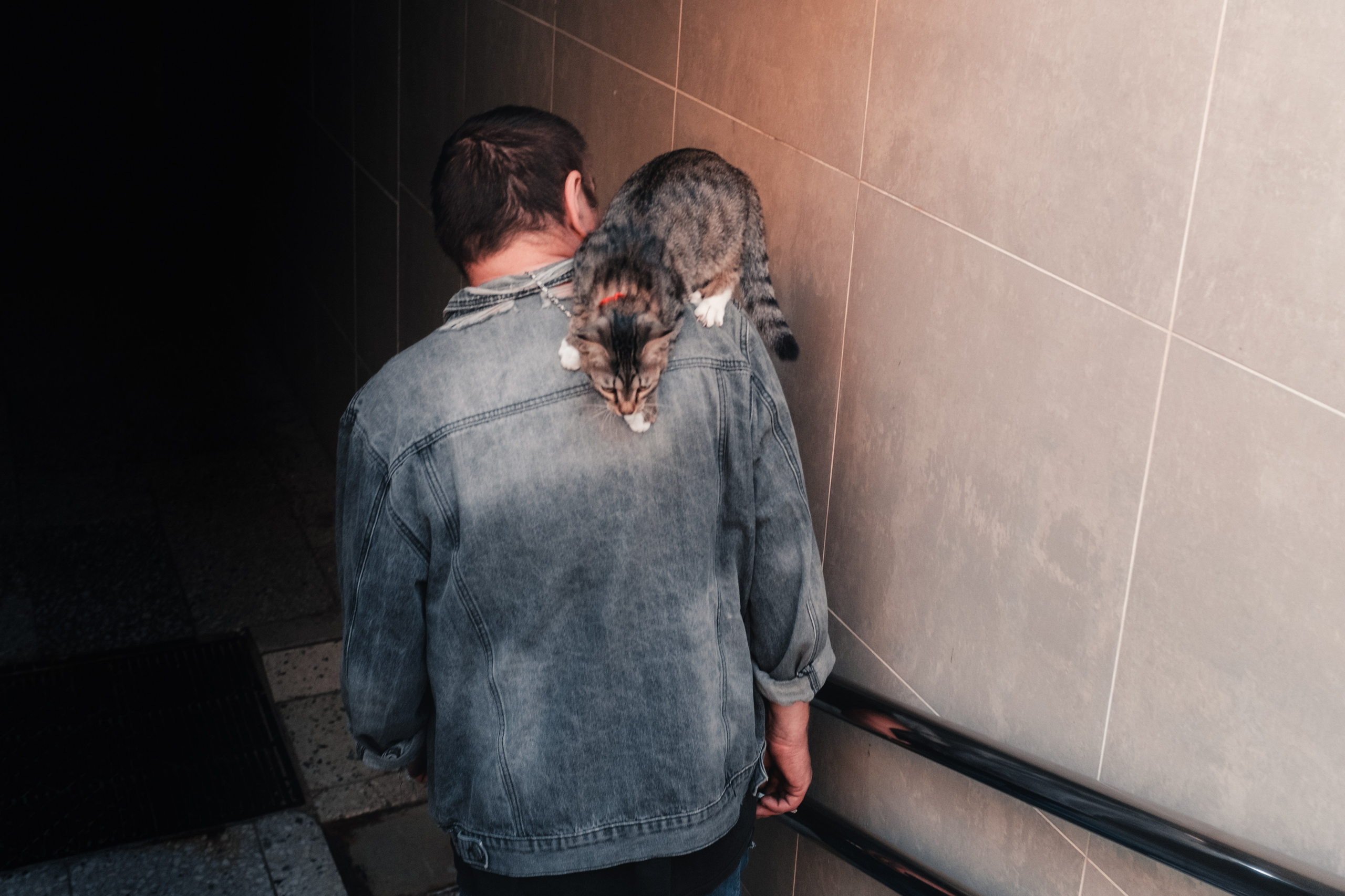 Стрит. Фотограф Минск