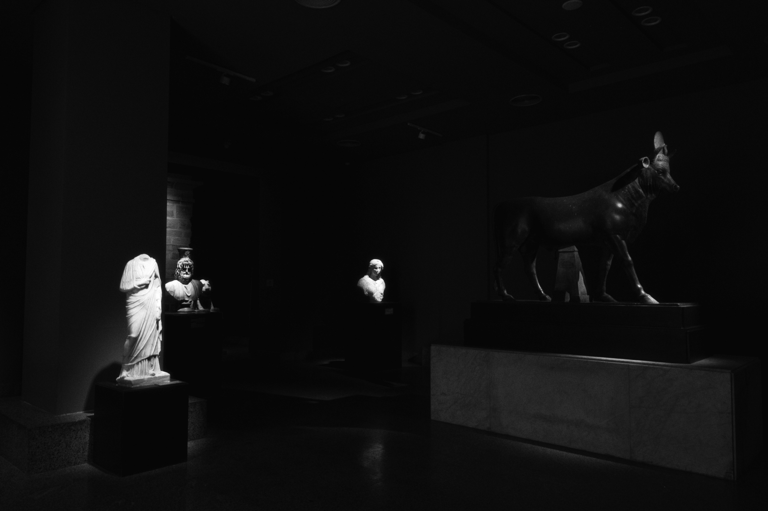Greco-Roman Museum / Alexandria, Egypt AW25. Фотограф Юрин Евгений