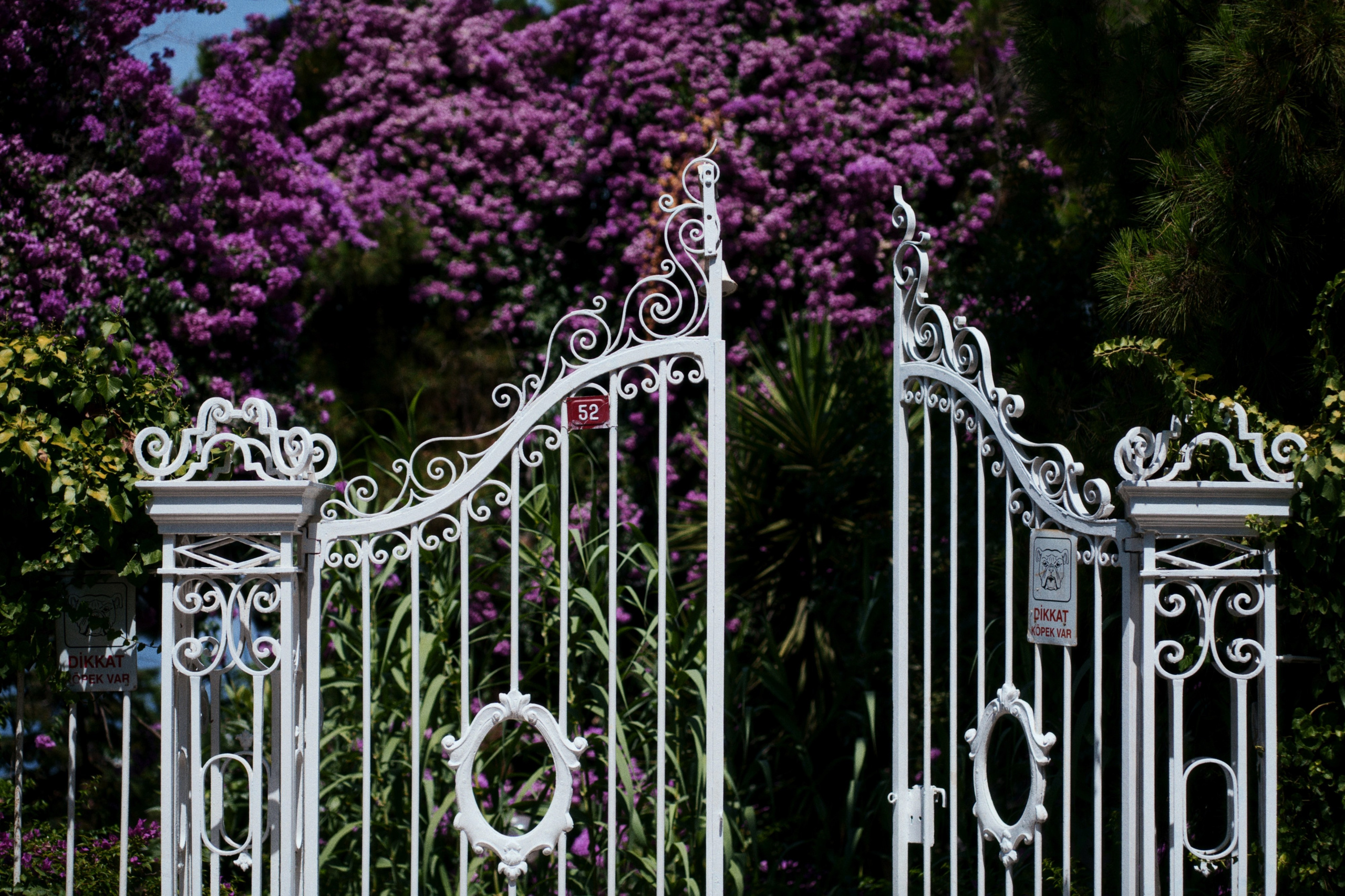 Büyükada х Heybeliada, Istanbul / Türkey SS25. Фотограф Юрин Евгений