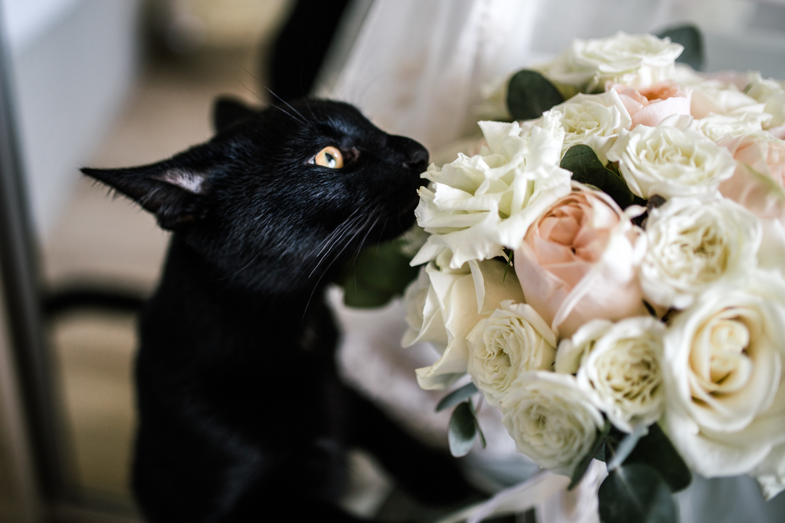 Свадебный и семейный фотограф в Санкт-Петербурге Исупова Юлия