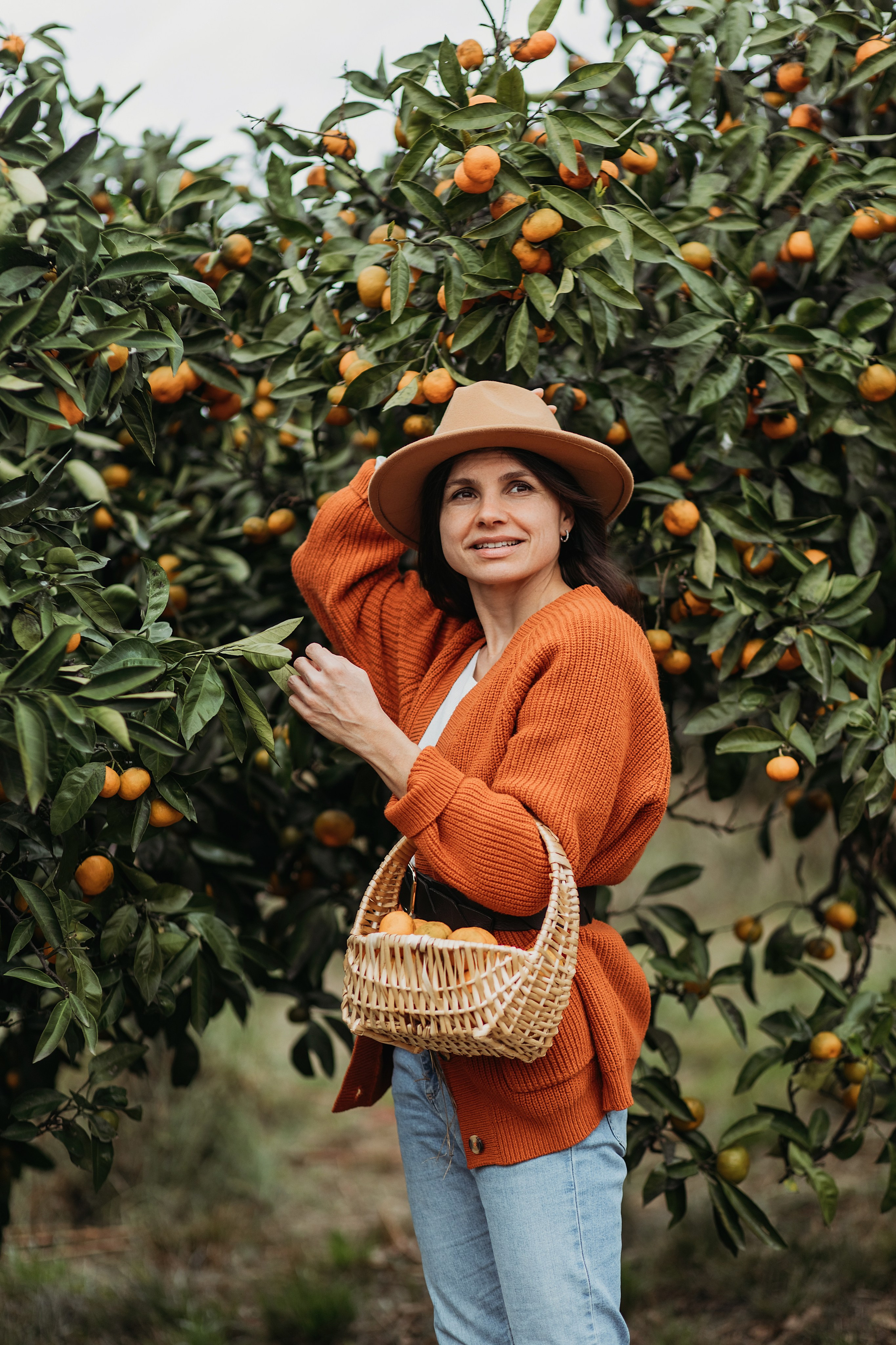 Мандариновая роща. Фотограф Сочи Татьяна Зорина