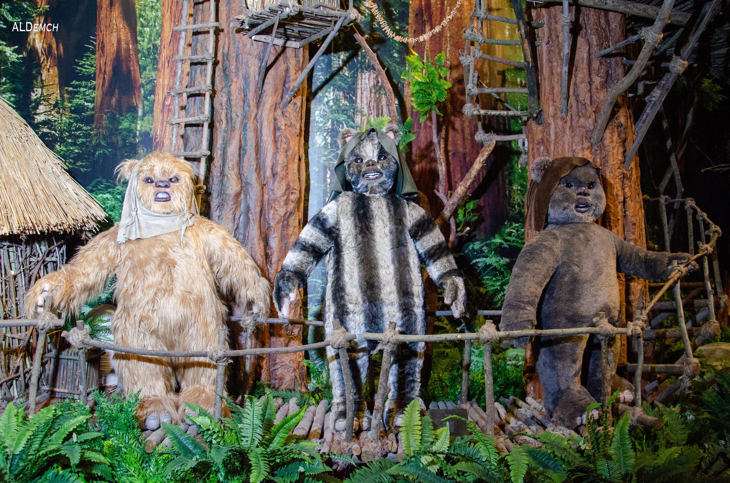 Фотосессия на ВДНХ косплей выставки по звёздным войнам