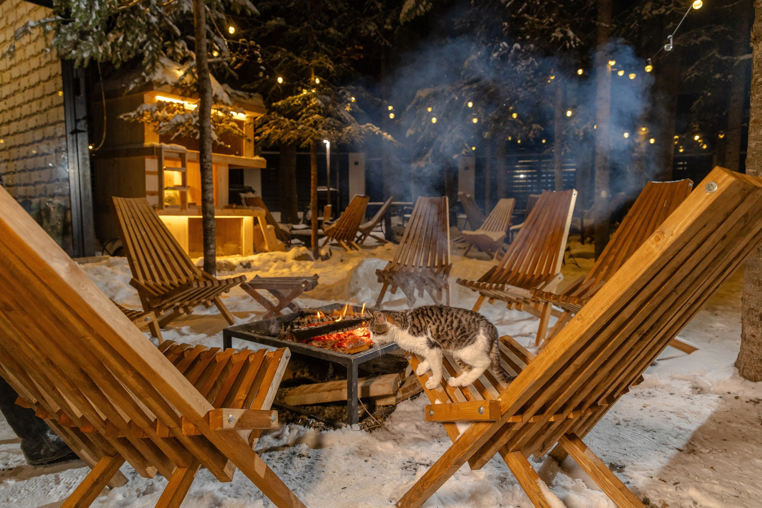 Интерьерная съемка. Фотограф Николай Петрушкин | Ставрополь, Москва