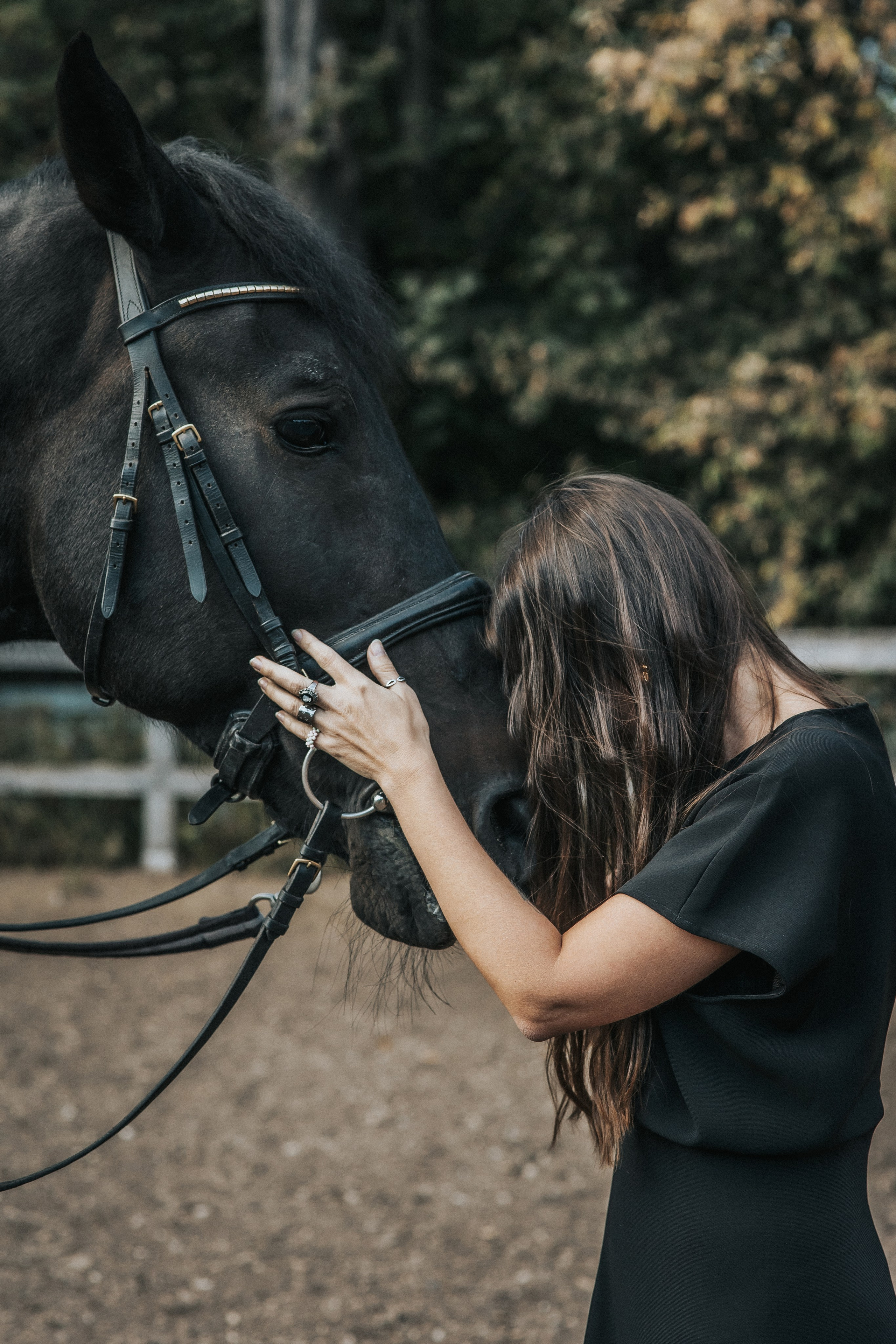 Большая семья и черный конь Султан. Семейный фотограф в Москве Наталья Чуб, заказать Фотокнигу