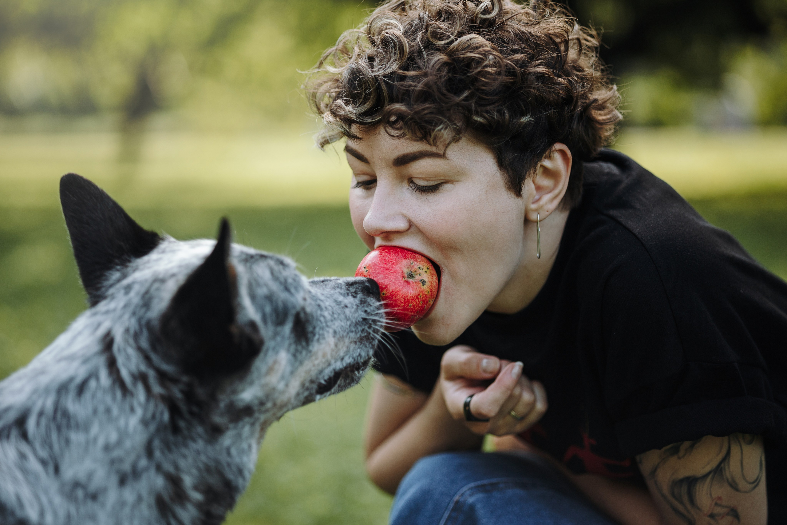 Кода и ее семья. Фотограф — Анималист | Санкт-Петербург