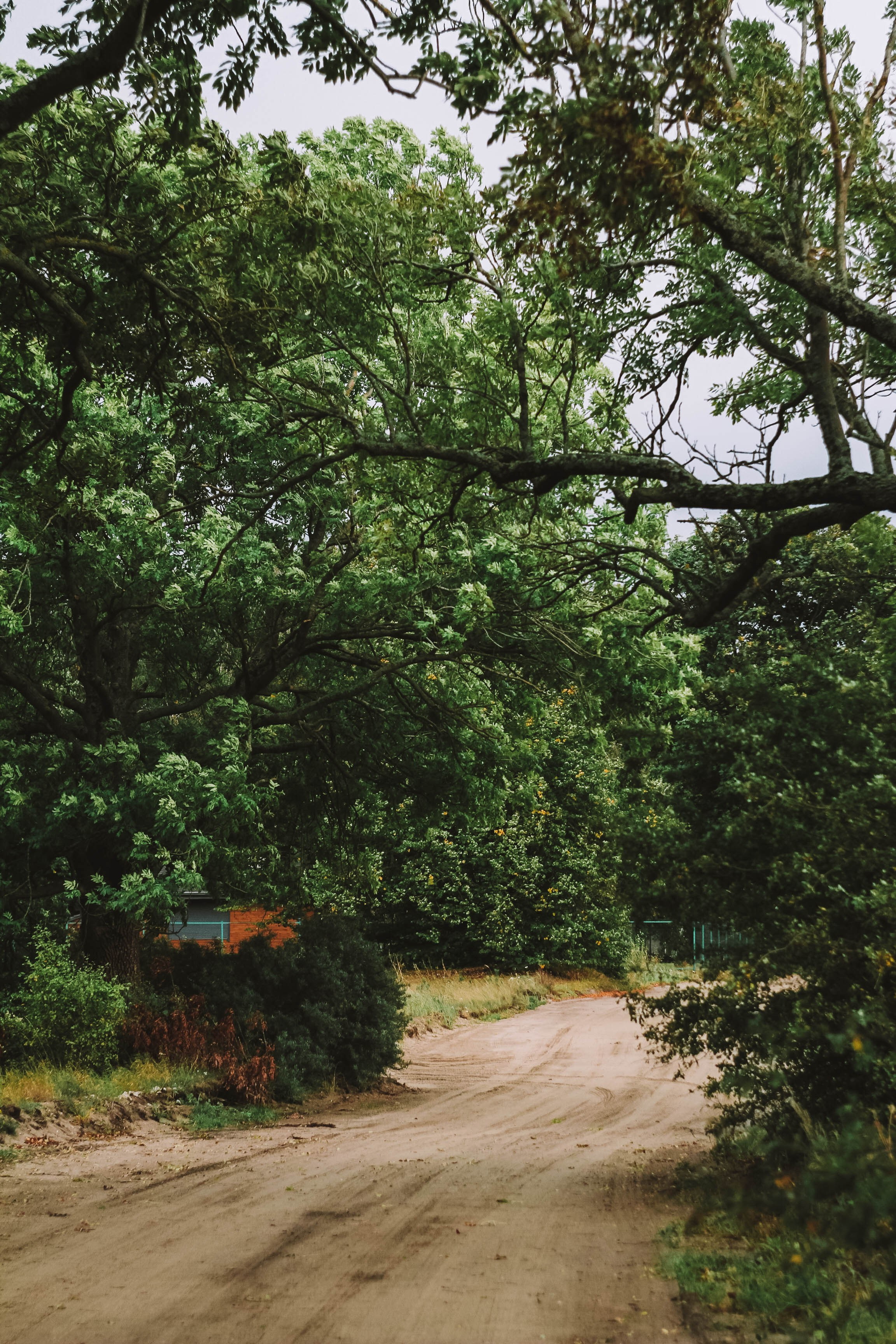 Калининград