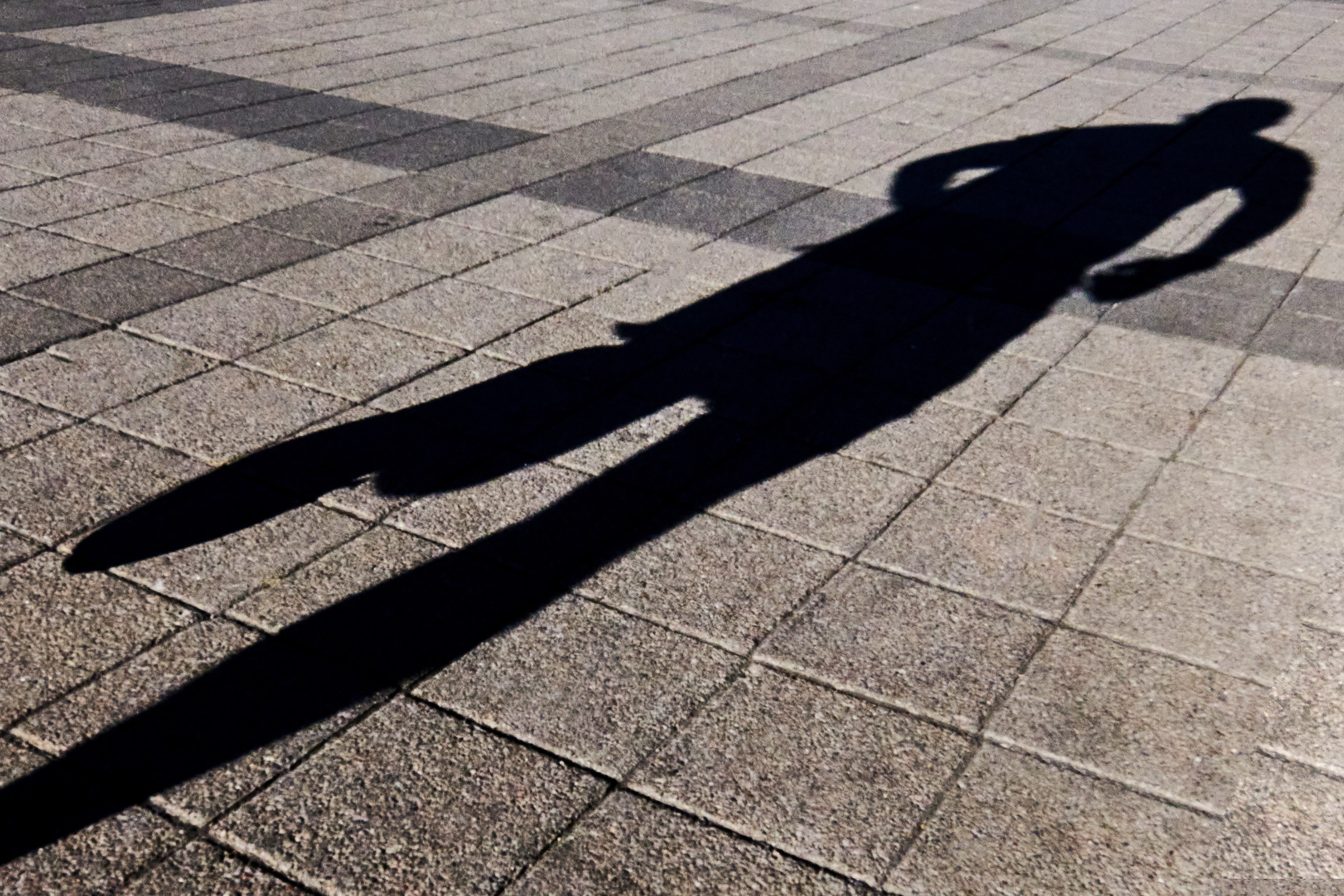 Жизнь, люди, стрит, вокруг, животные, на улице. Яркие фото на Чёрном море