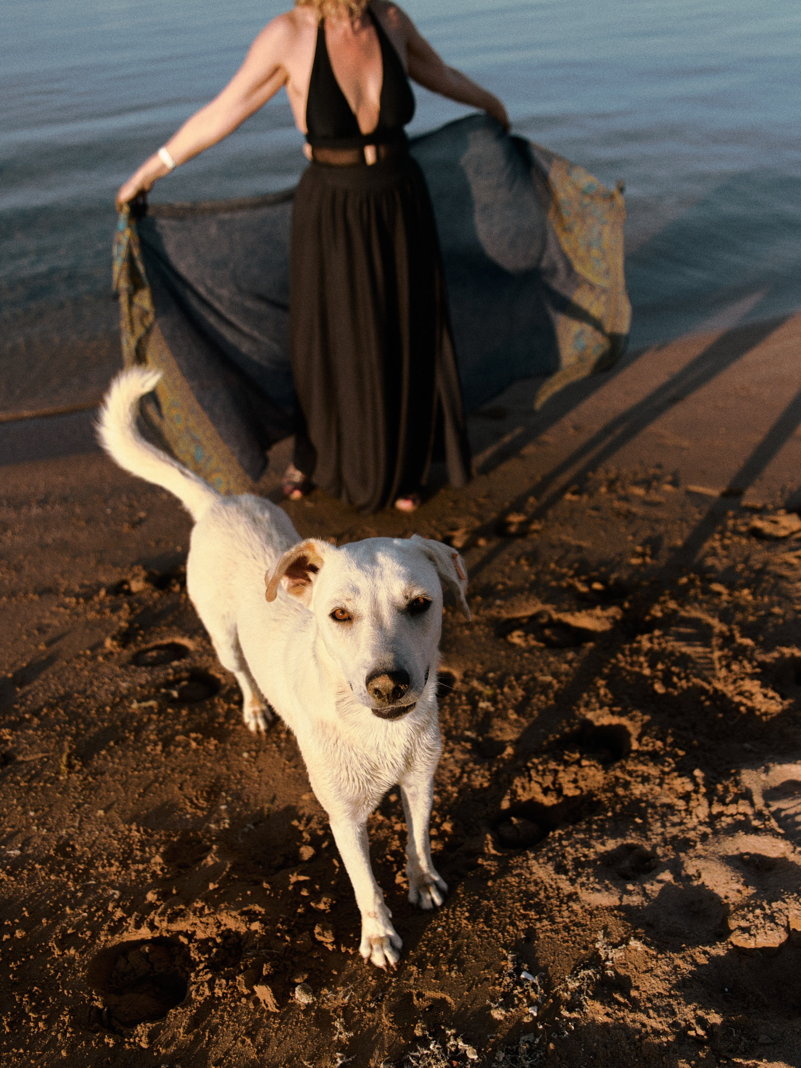 Elena. Jorgis — фотограф в Хургаде / обучение фотографии