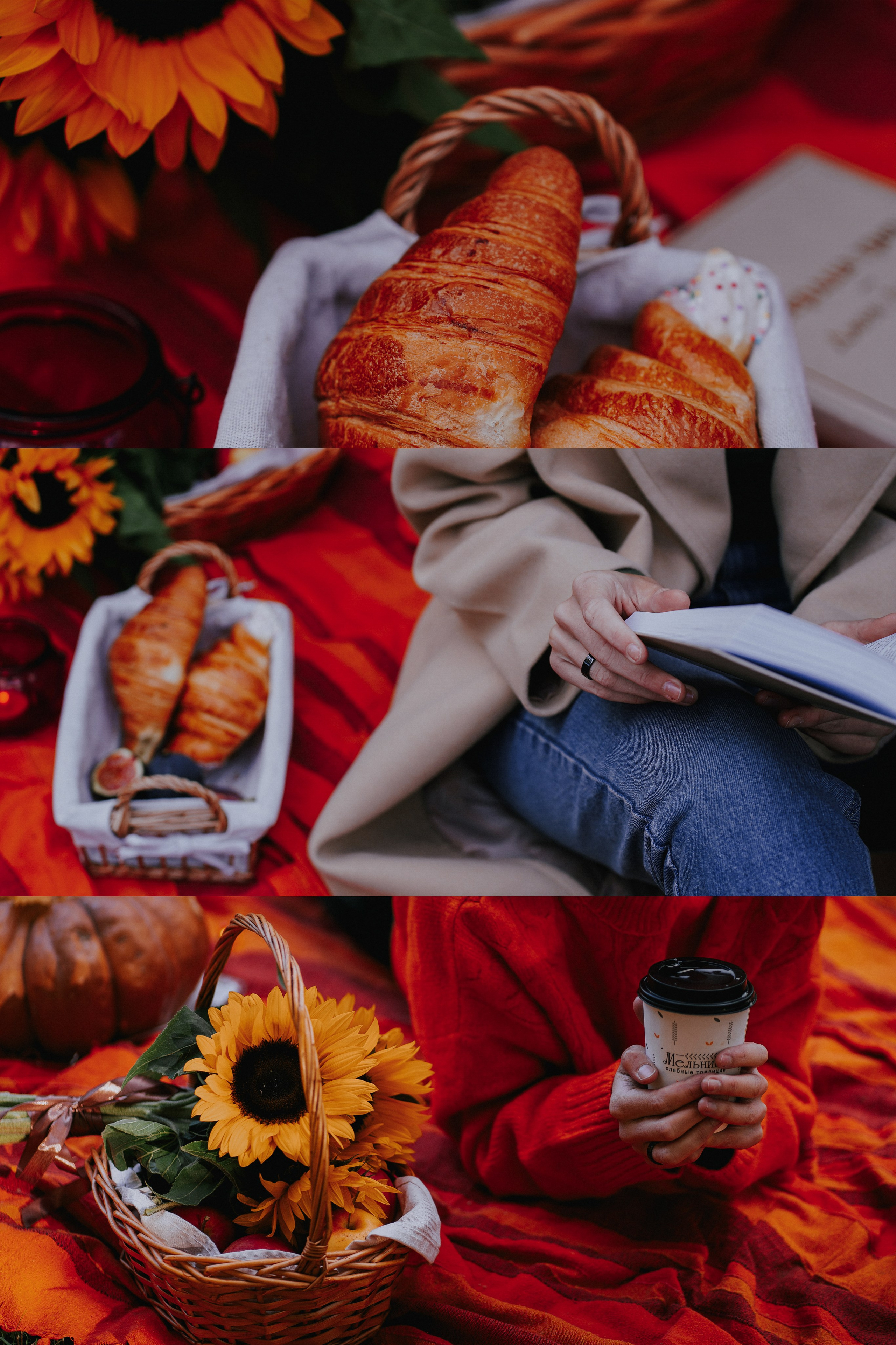 Александра. Фотограф в Москве Ксения Насокина