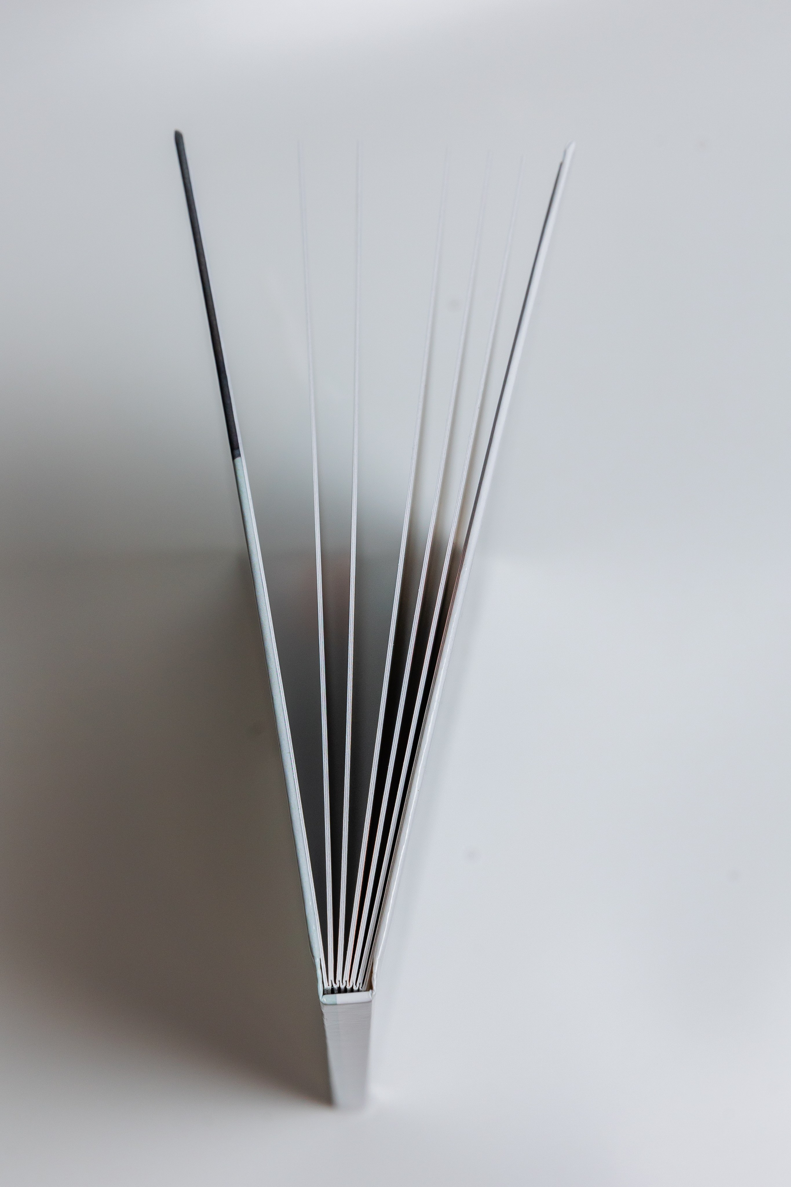 Индивидуальные выпускные фотоальбомы. Семейный, детский фотограф в Москве, Подмосковье