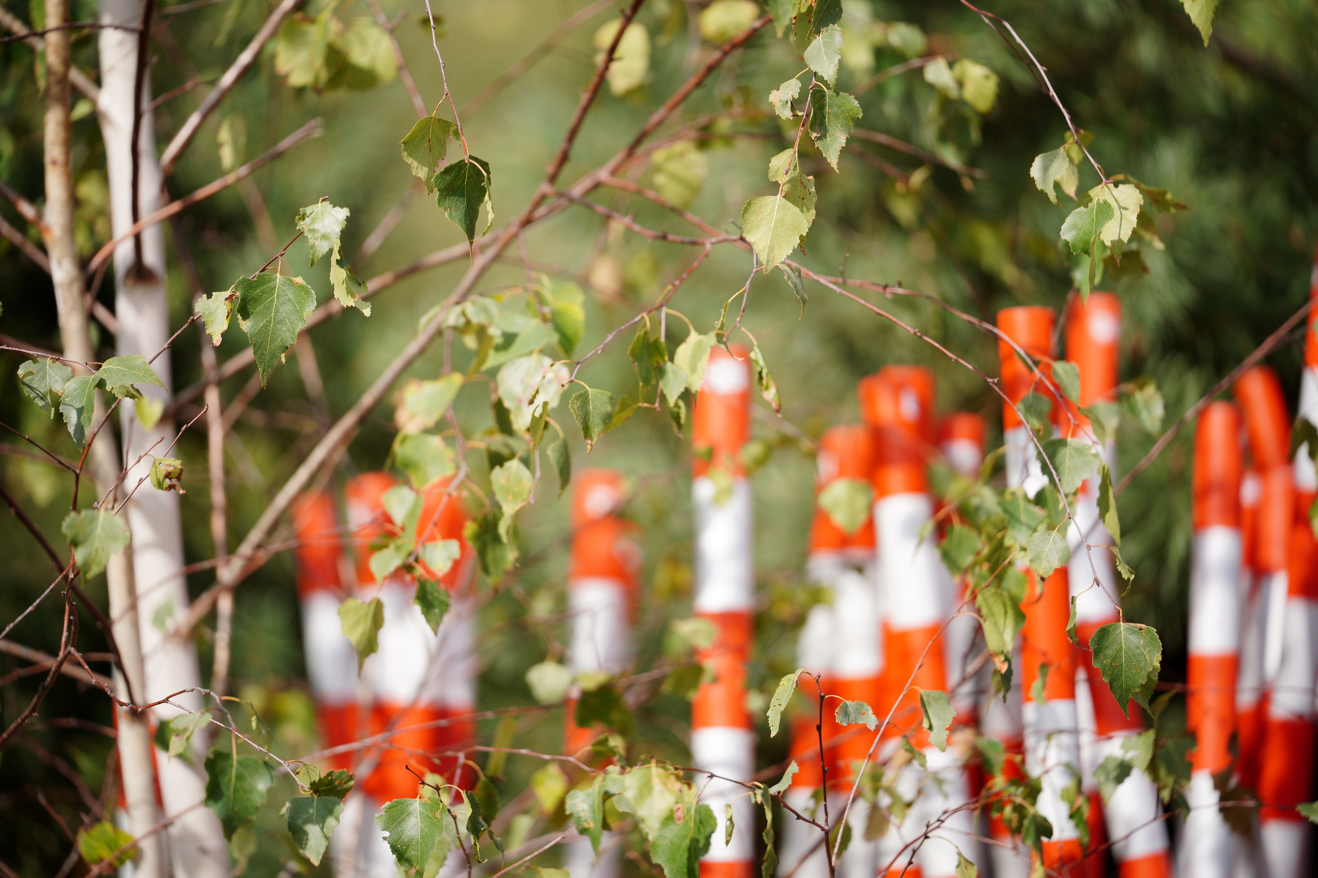 Как это было: III РЕСПУБЛИКАНСКИЕ СОРЕВНОВАНИЯ