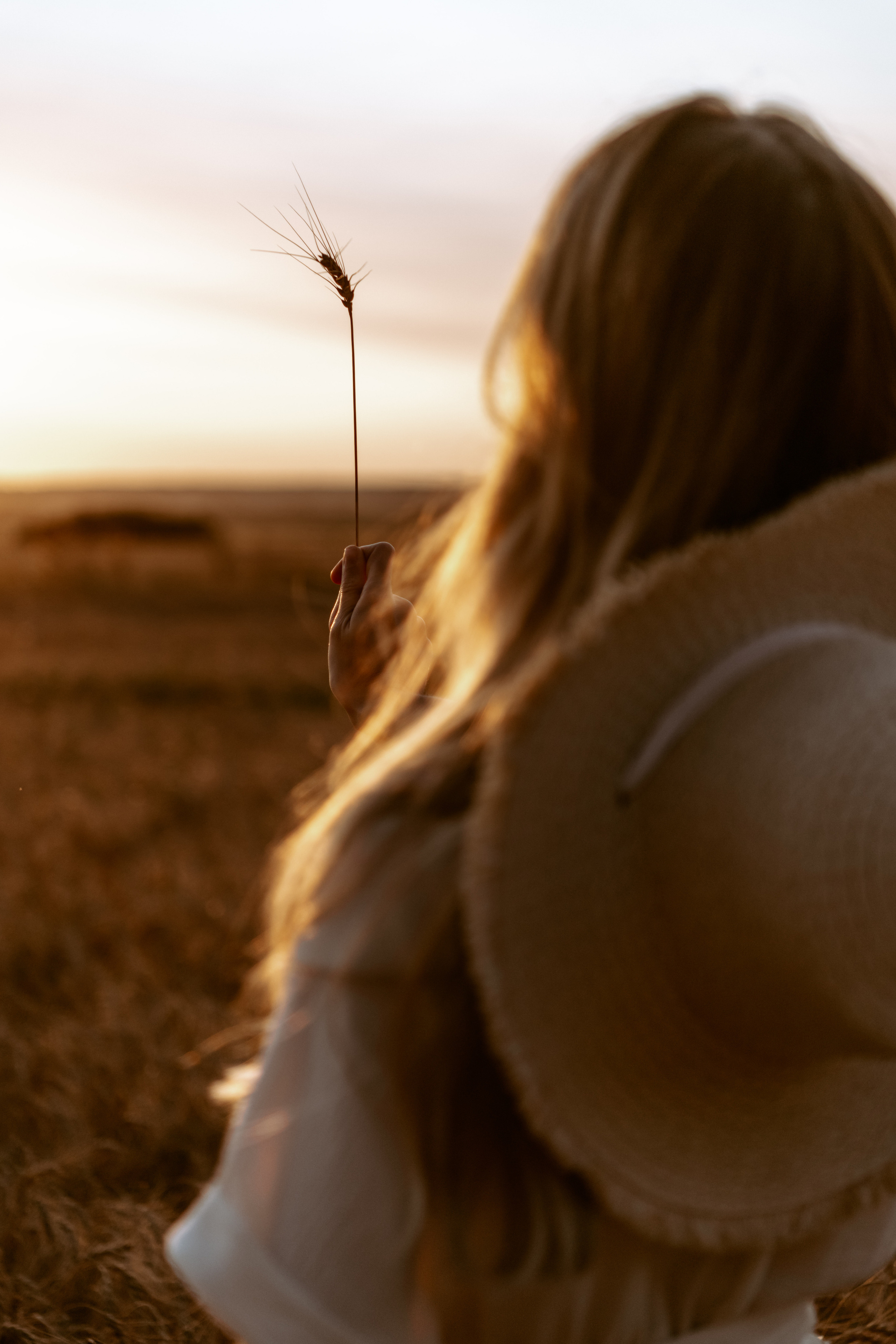 Семейная фотосессия в пшеничном поле. Свадебный и семейный фотограф в Уфе | Винс Константин | Фотопроекты