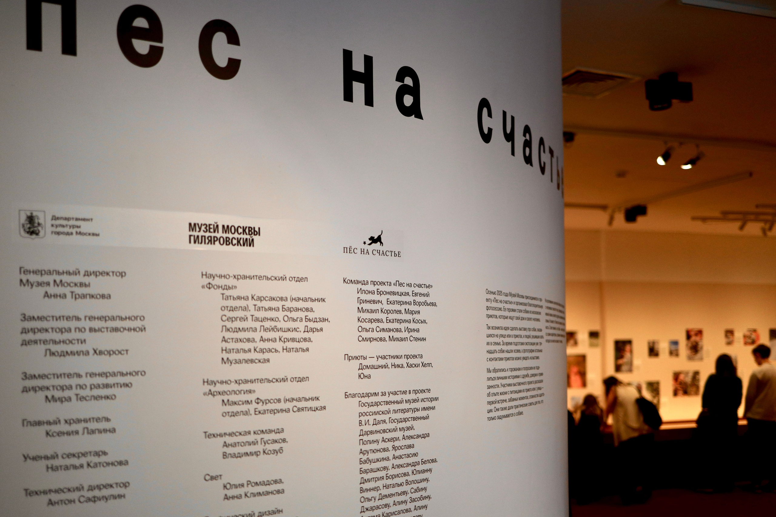 Фотографии с выставки Пёс на счастье в Центре Гиляровского