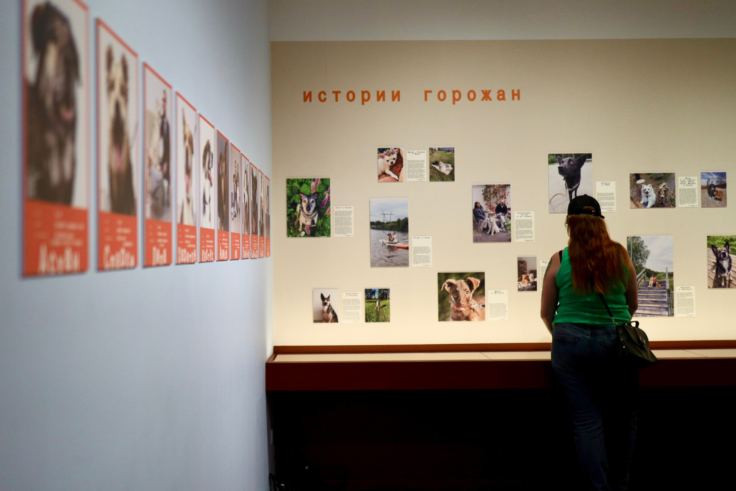 Фотографии с выставки Пёс на счастье в Центре Гиляровского