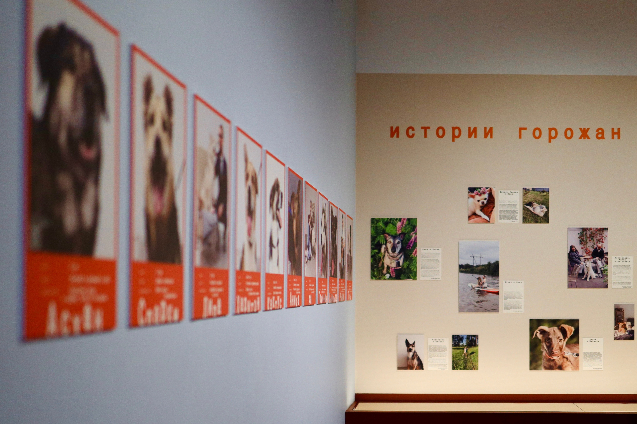 Фотографии с выставки Пёс на счастье в Центре Гиляровского