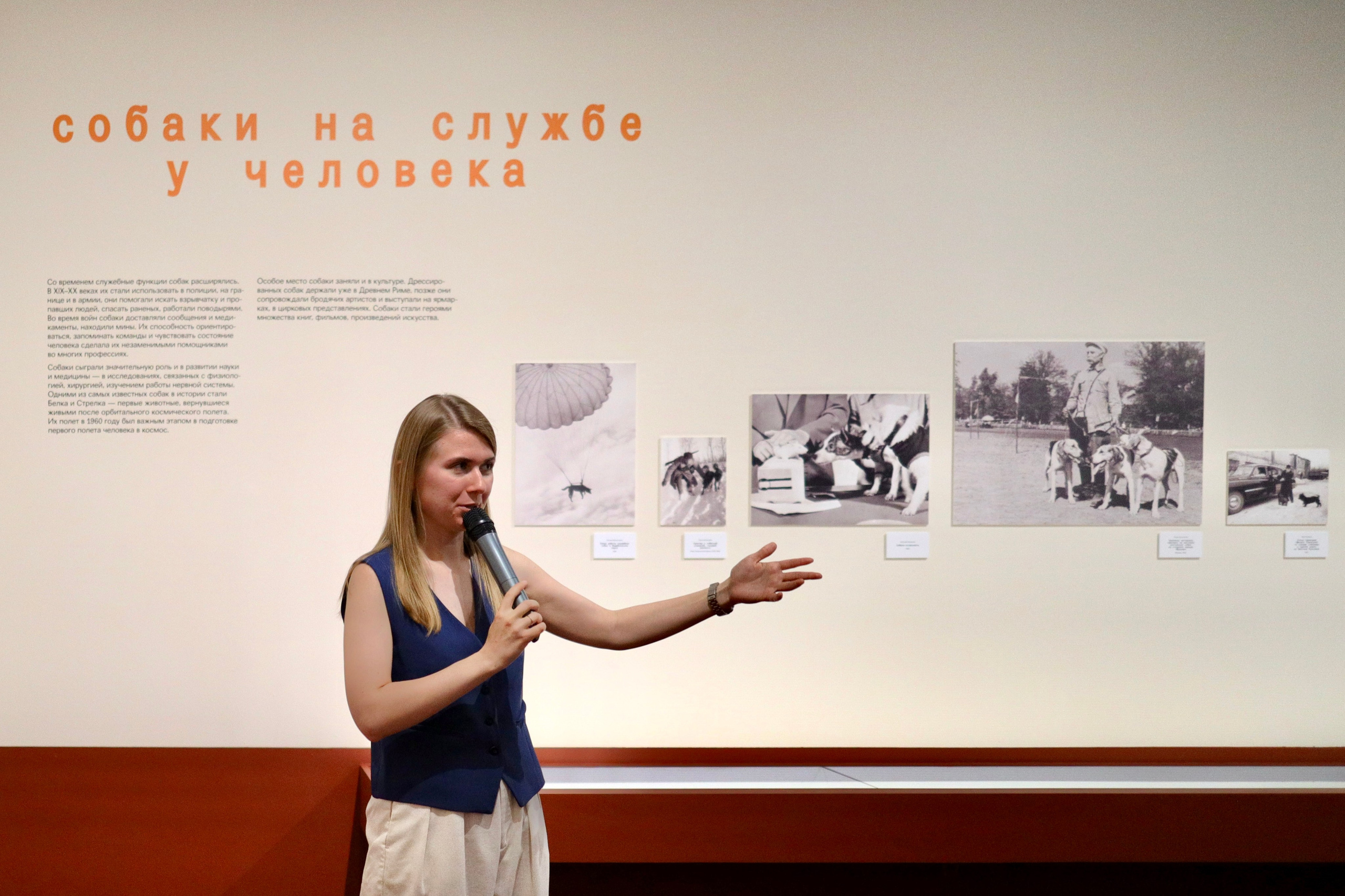 Фотографии с выставки Пёс на счастье в Центре Гиляровского