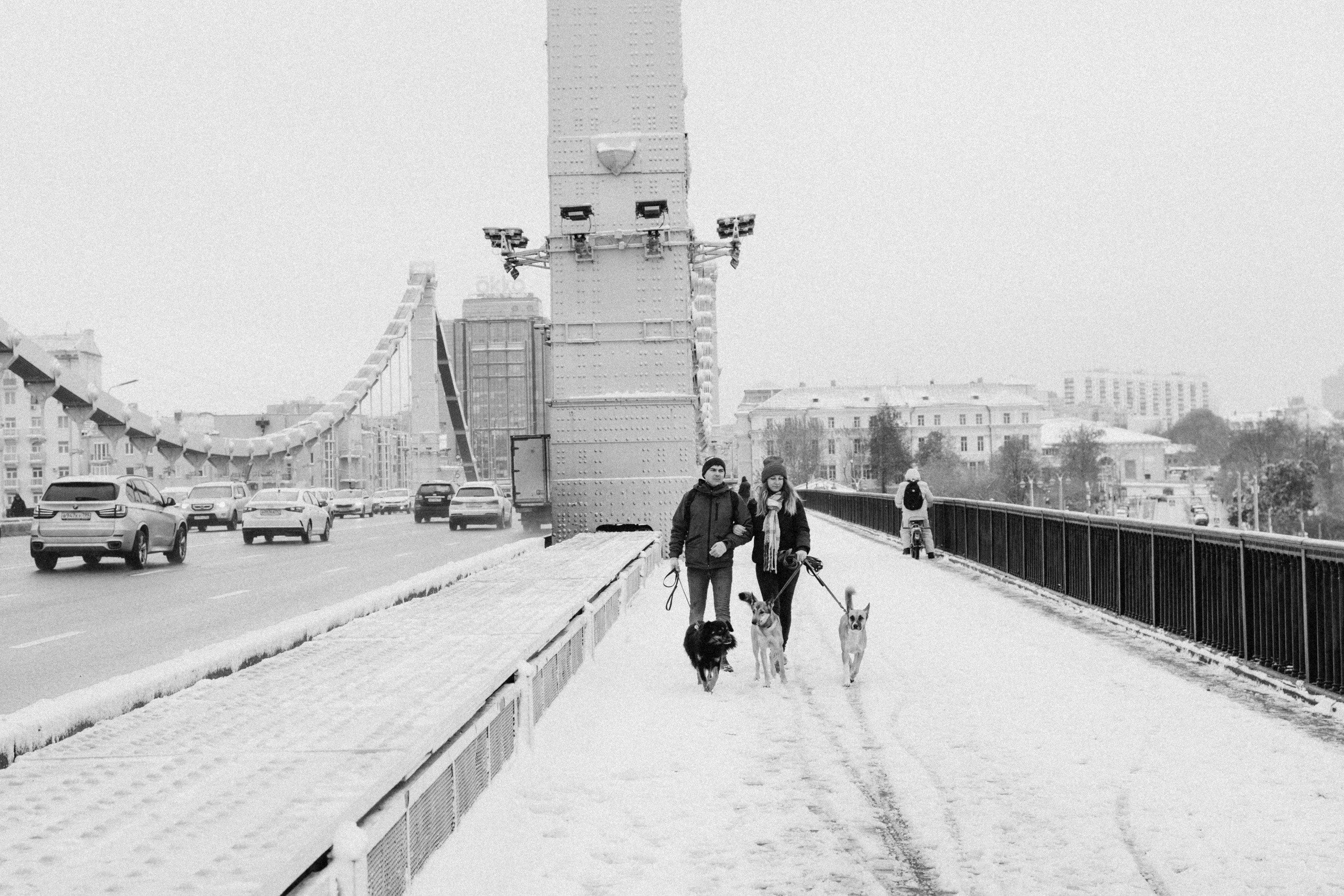 Саша, Ксюша и их банда. Фотораф — анималист Мария Шистка