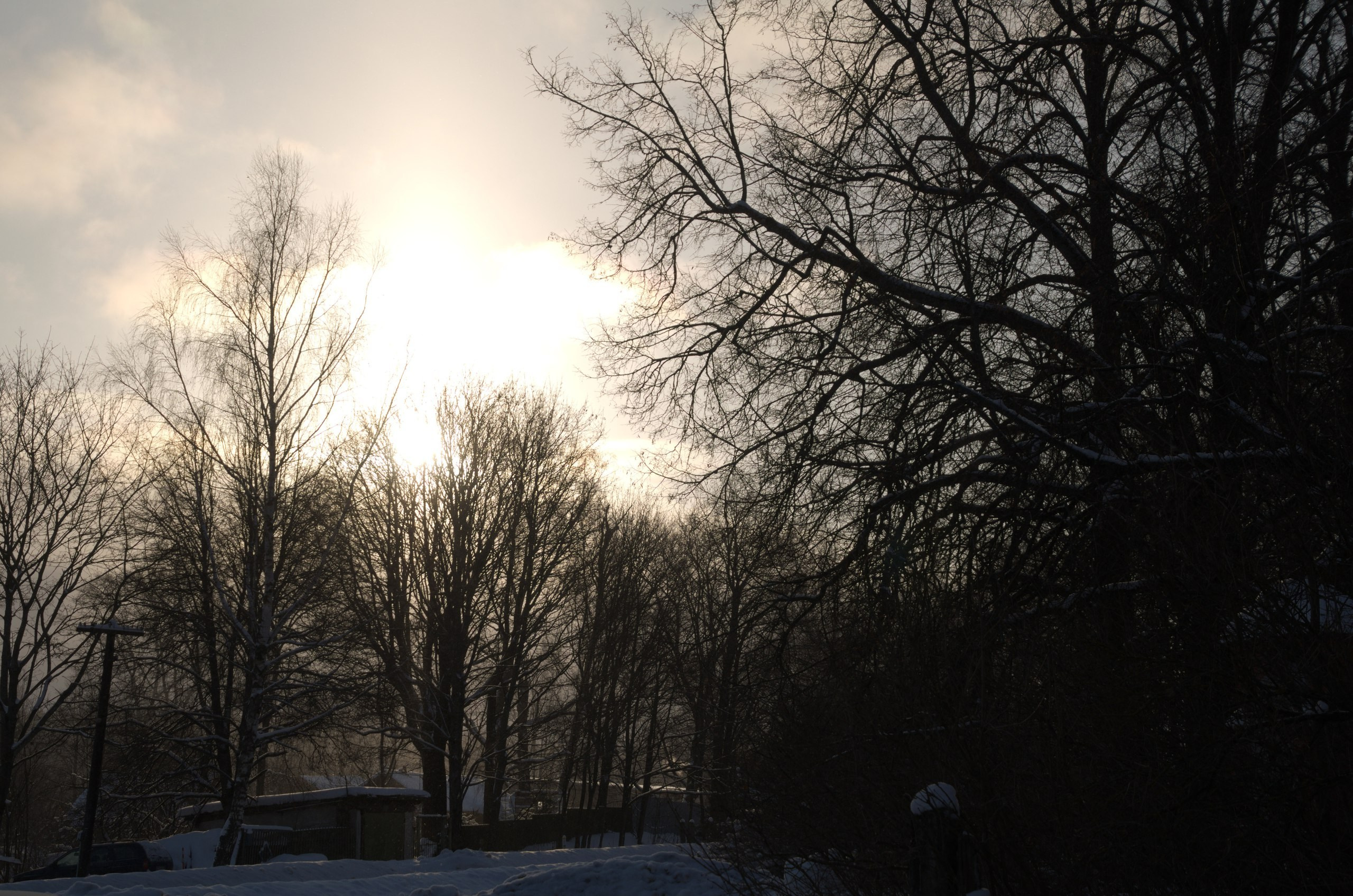 Сергиев Посад | 11.12.2016. Галерея Фантим