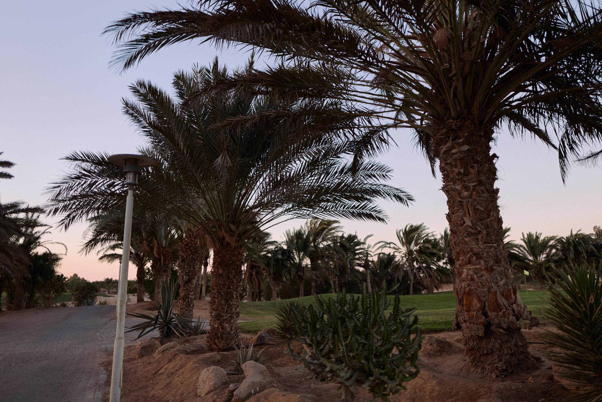 Другое 3. Jorgis Talè — photographer, kind person, teacher of arts and other mag