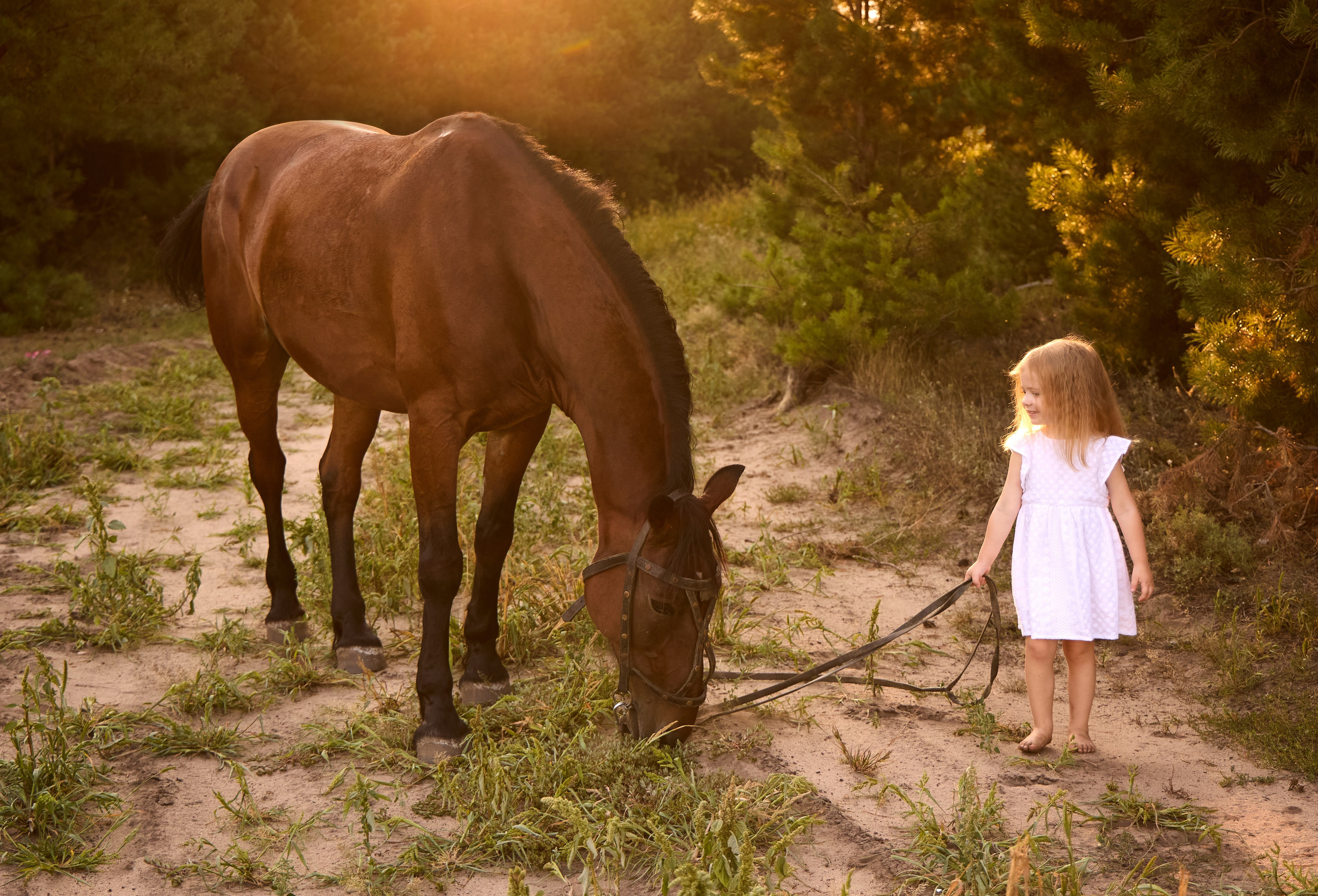 Семейные фотосессии. Семейный и свадебный фотограф в москве марина сорокина