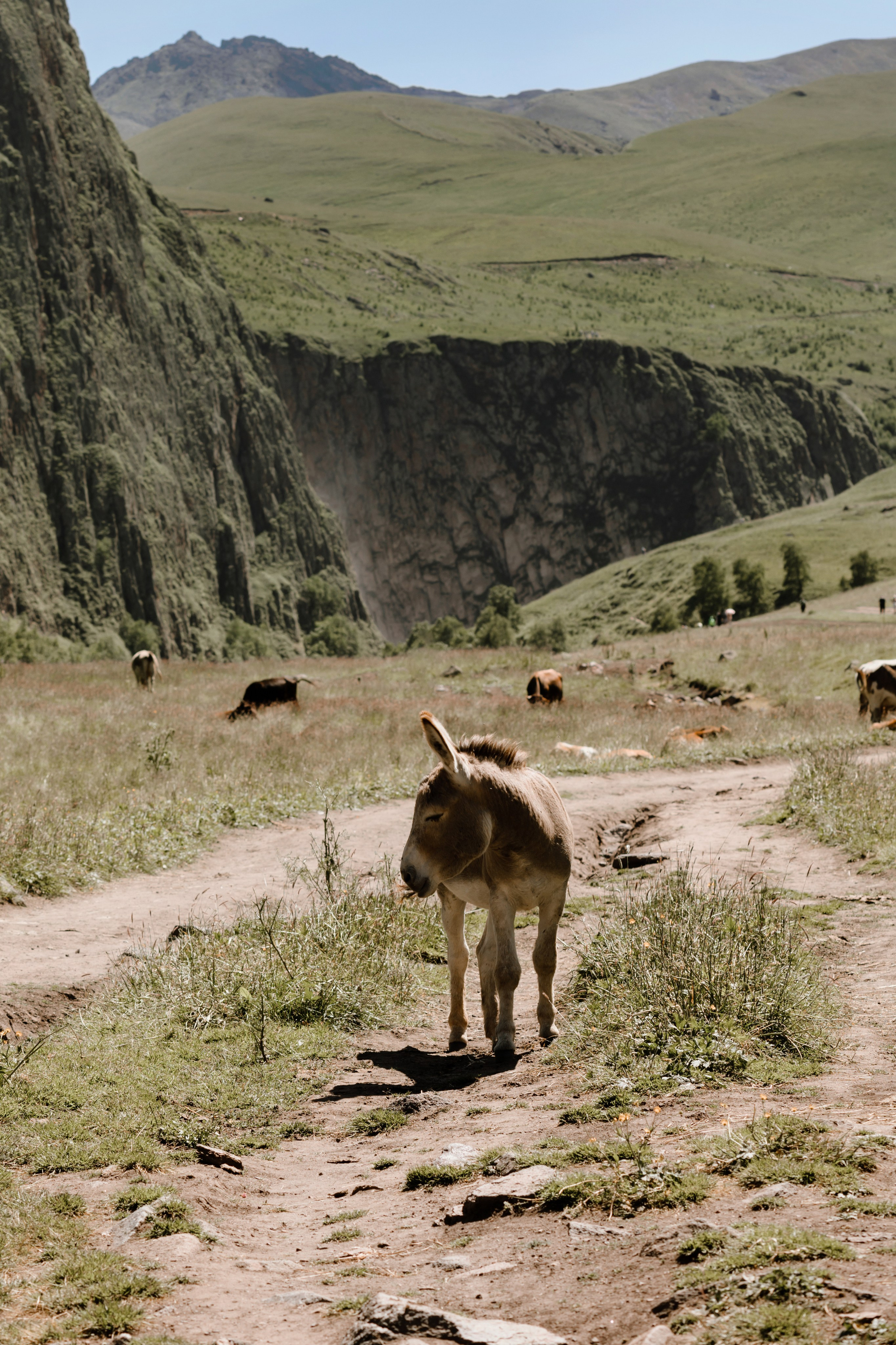 Счастье в горах. Фотограф Олеся Голева