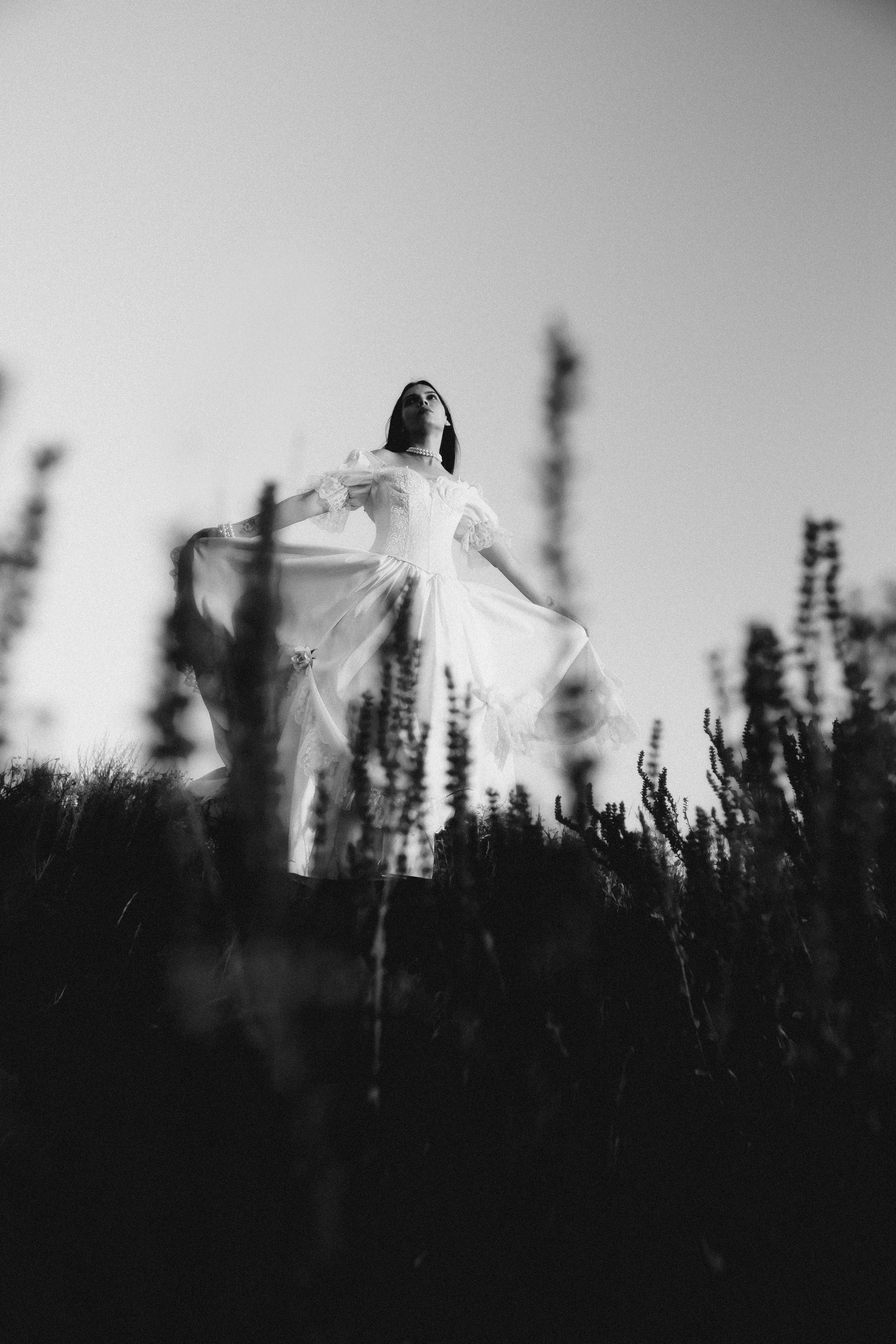 А на небе только и разговоров, что о море и о закате. Дмитрий Пропадалин, Нейрофотография