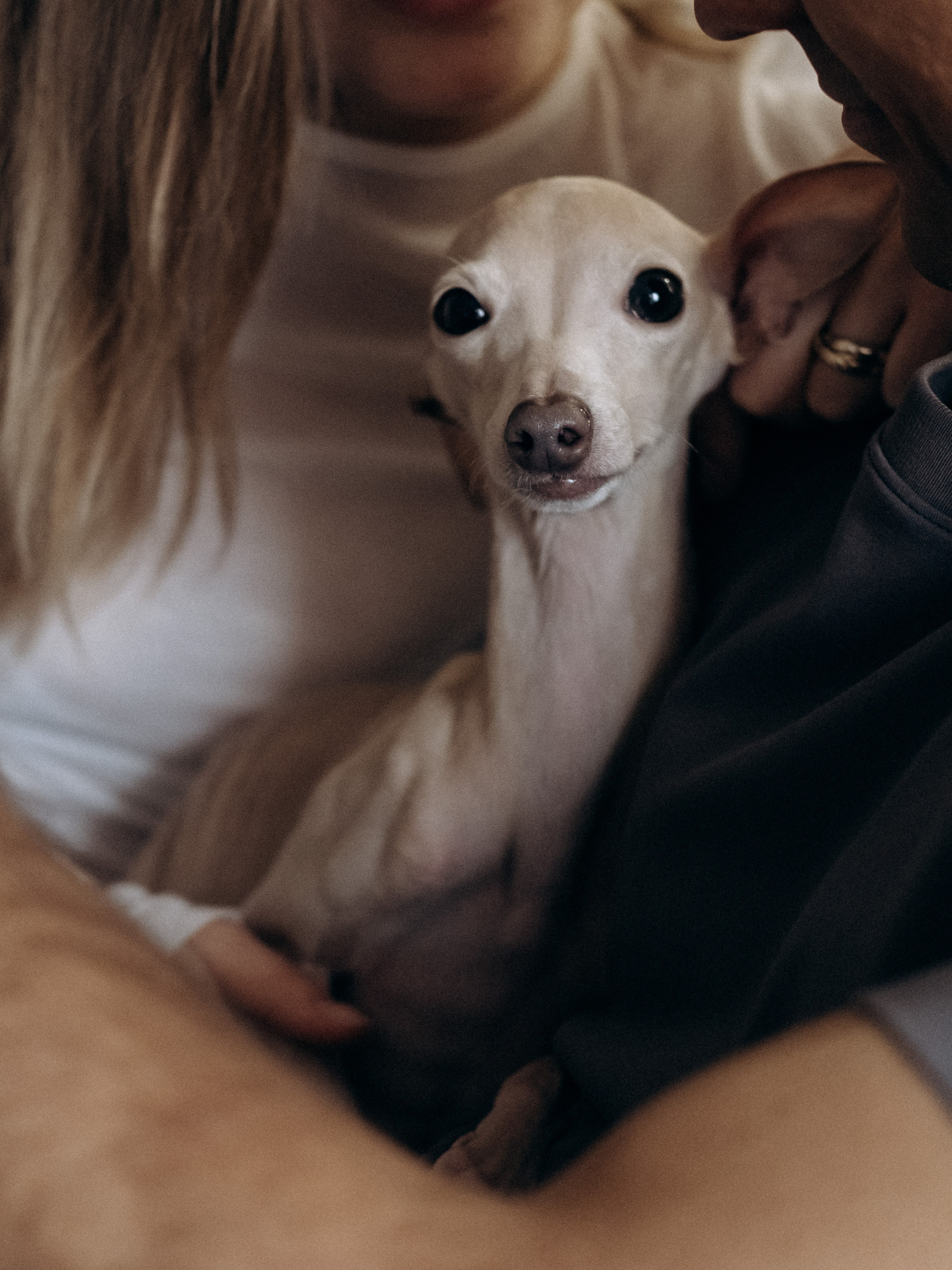 Сережа и Катя. Свадебный фотограф в Воронеже
