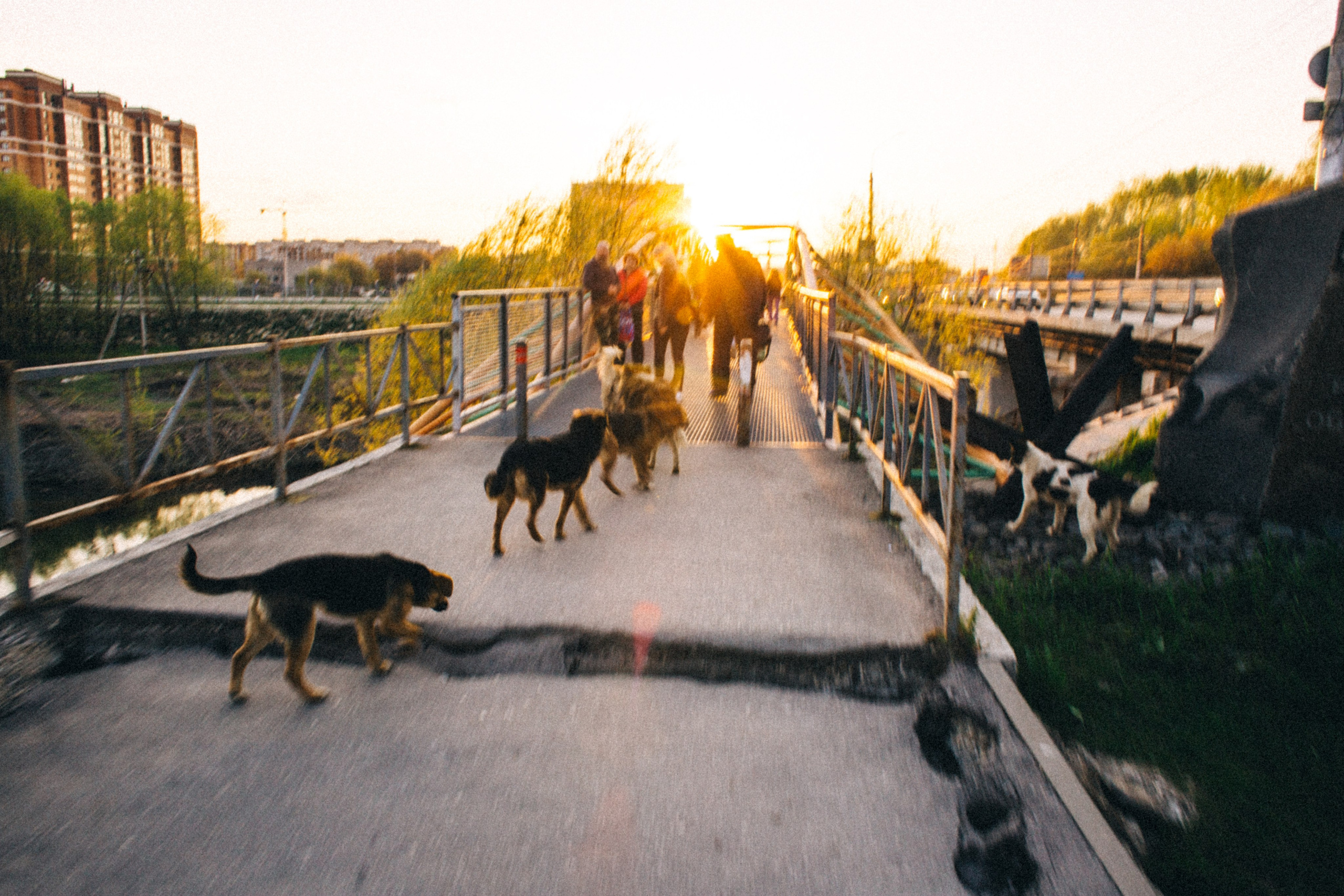 Москва- Рязань 2021. Фотограф в Нижнем Новгороде