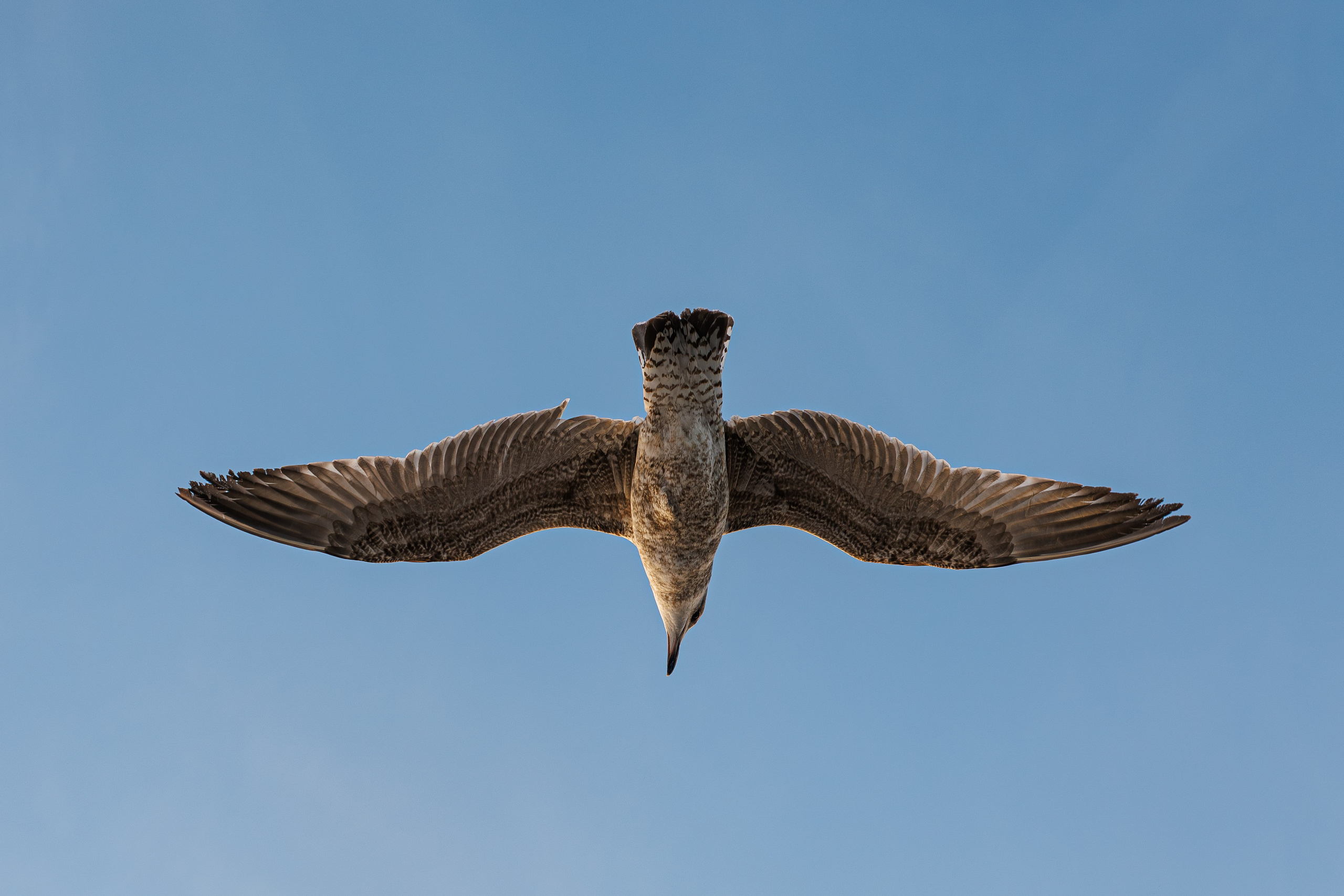 Фото и видео съёмка в Санкт-Петербурге