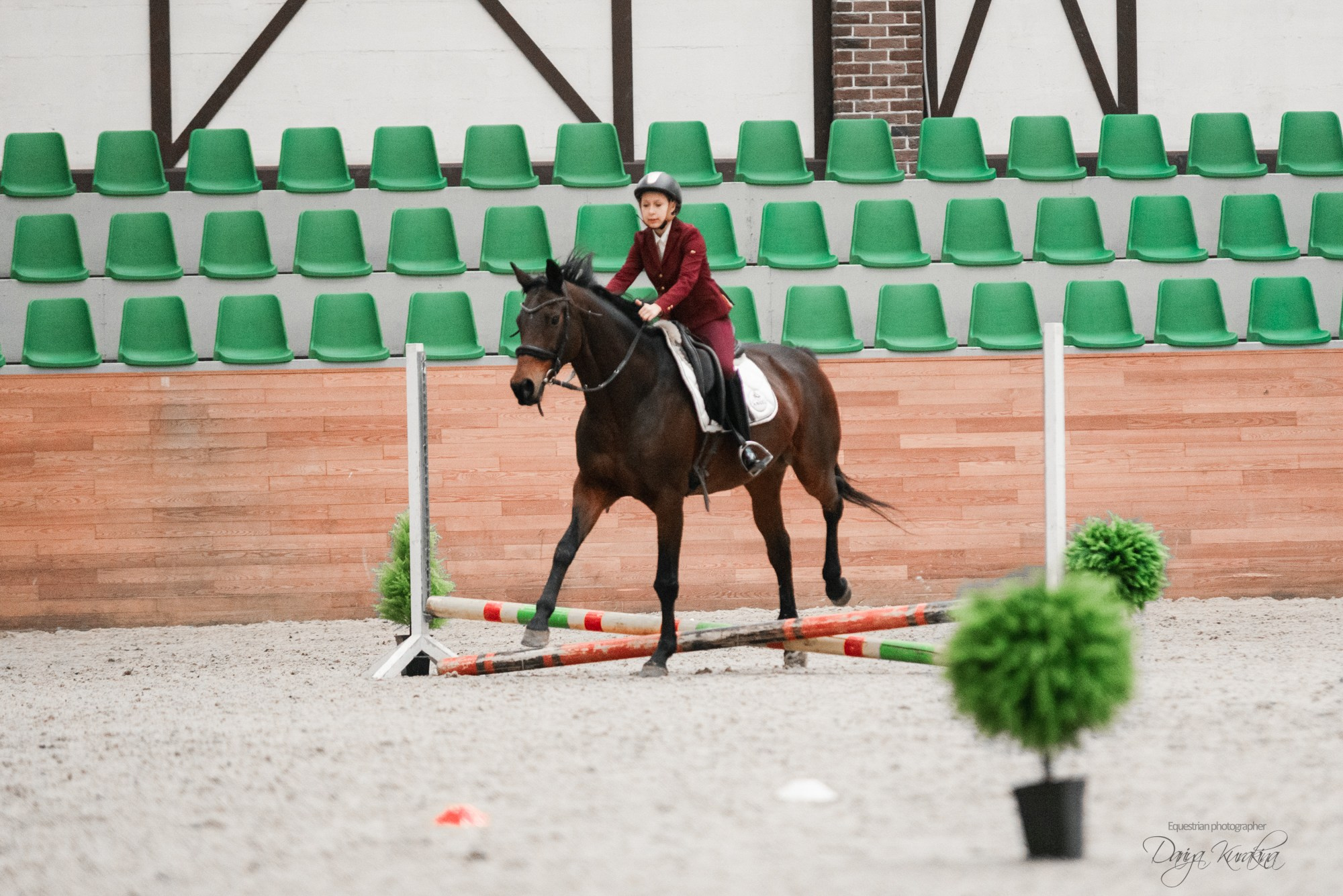8-я международная выставка Конная Россия. Конный фотограф Куракина Дарья • Фотосессии с лошадьми