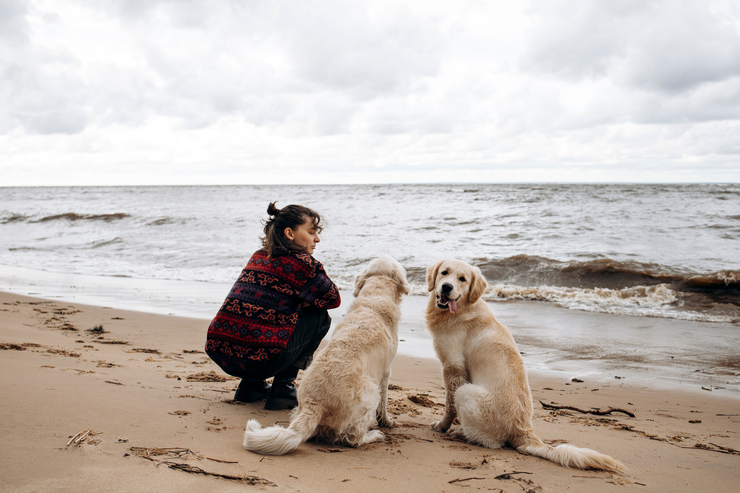 Прогулка Насти с Арчи и Арагоном. Фотограф-анималист в Санкт-Петеребурге Титова Алиса