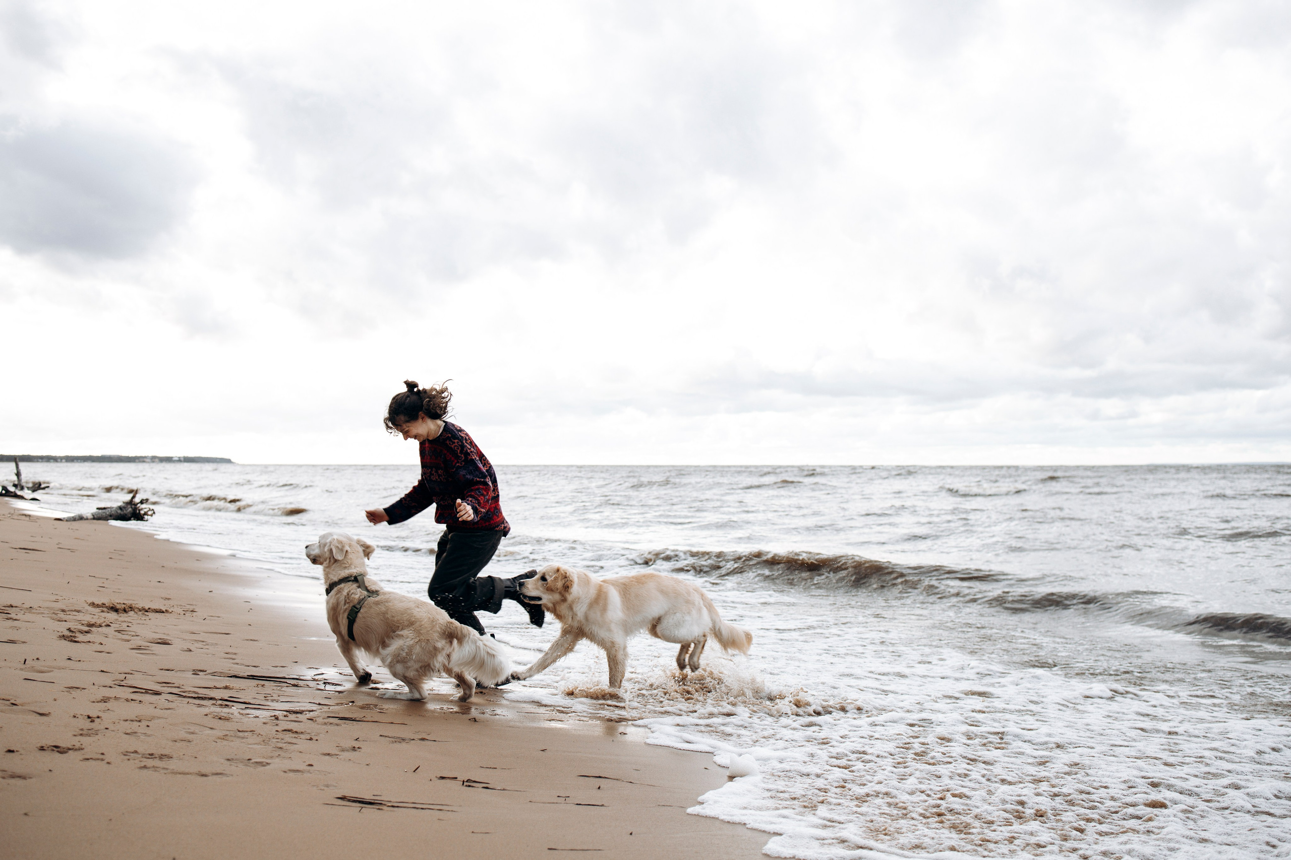 Прогулка Насти с Арчи и Арагоном. Фотограф-анималист в Санкт-Петеребурге Титова Алиса