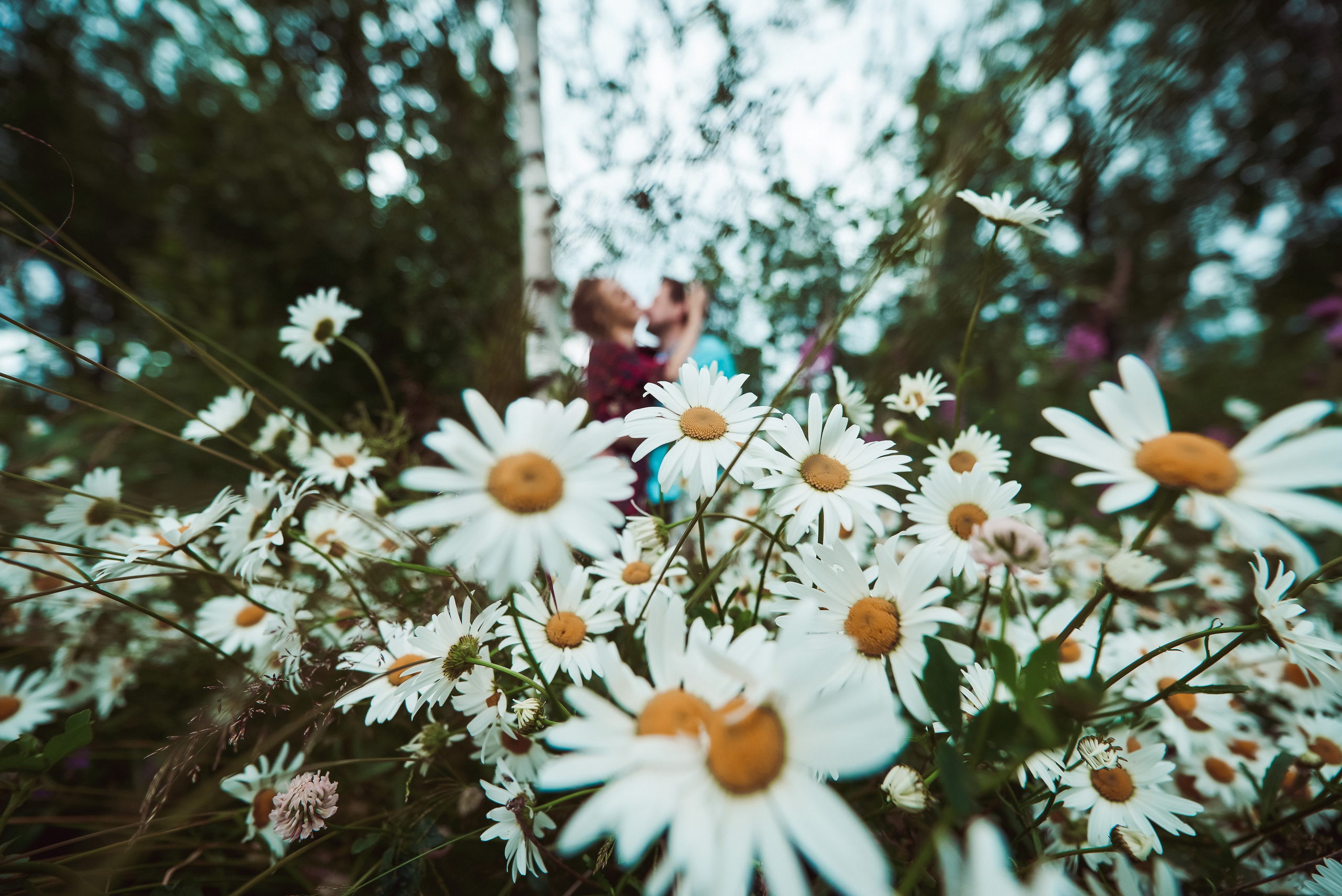 Александра и Вячеслав (фотосессия Love story на природе). Портретный, семейный и свадебный фотограф в Санкт-Петербурге и в Пушкине Ширяев Денис