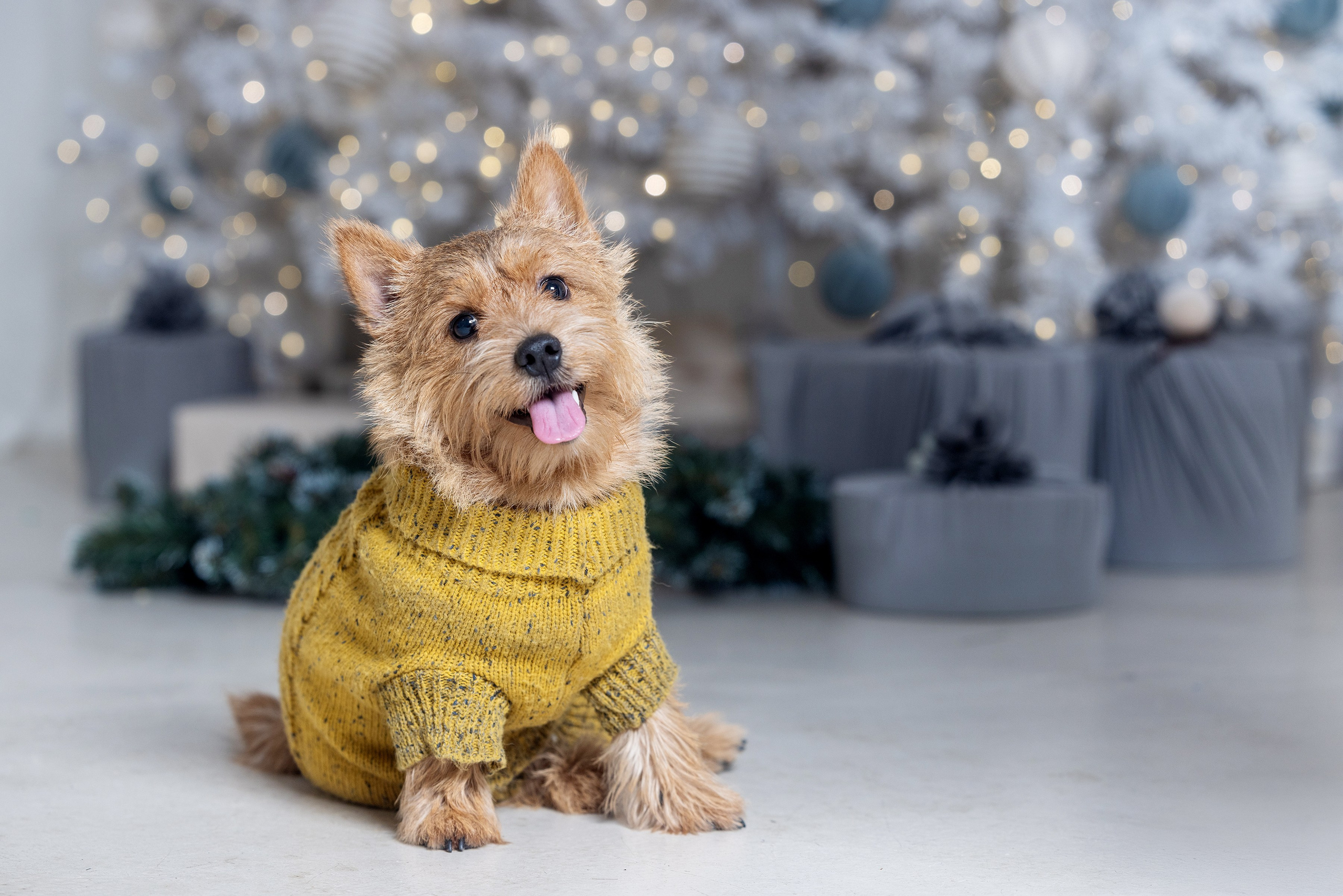 Фотограф Алена Звездина